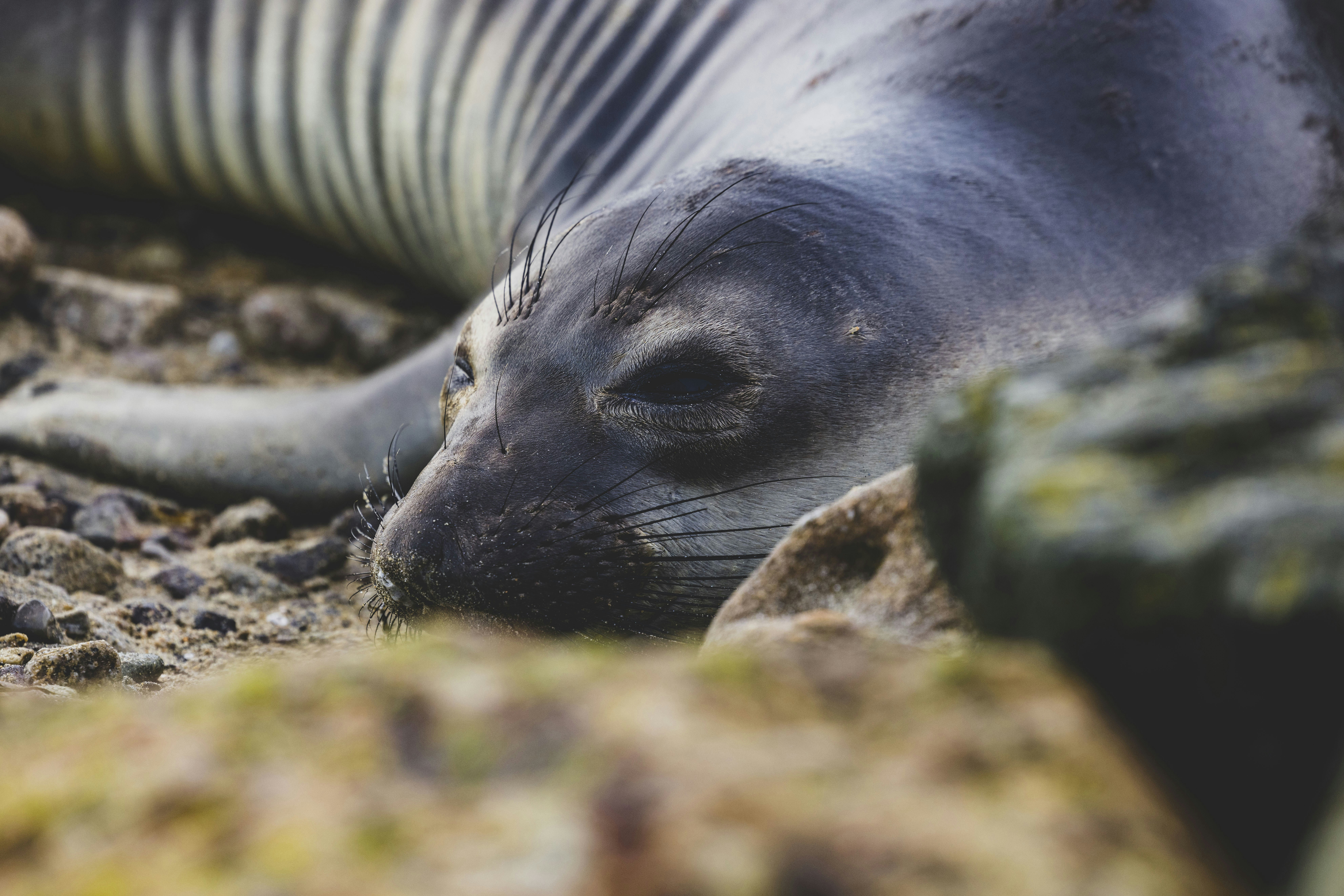 Photo by leo_visions_