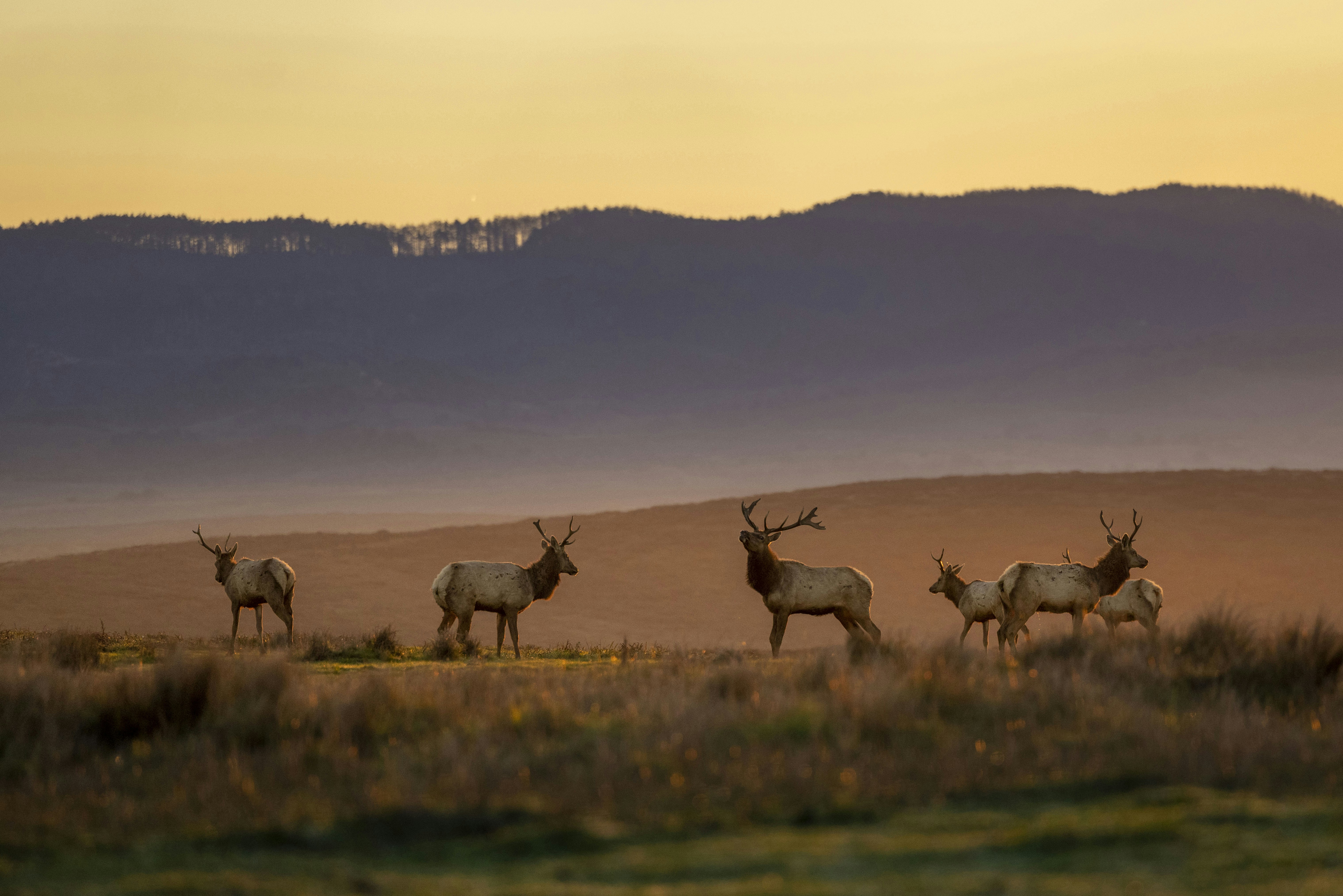 Photo by leo_visions_