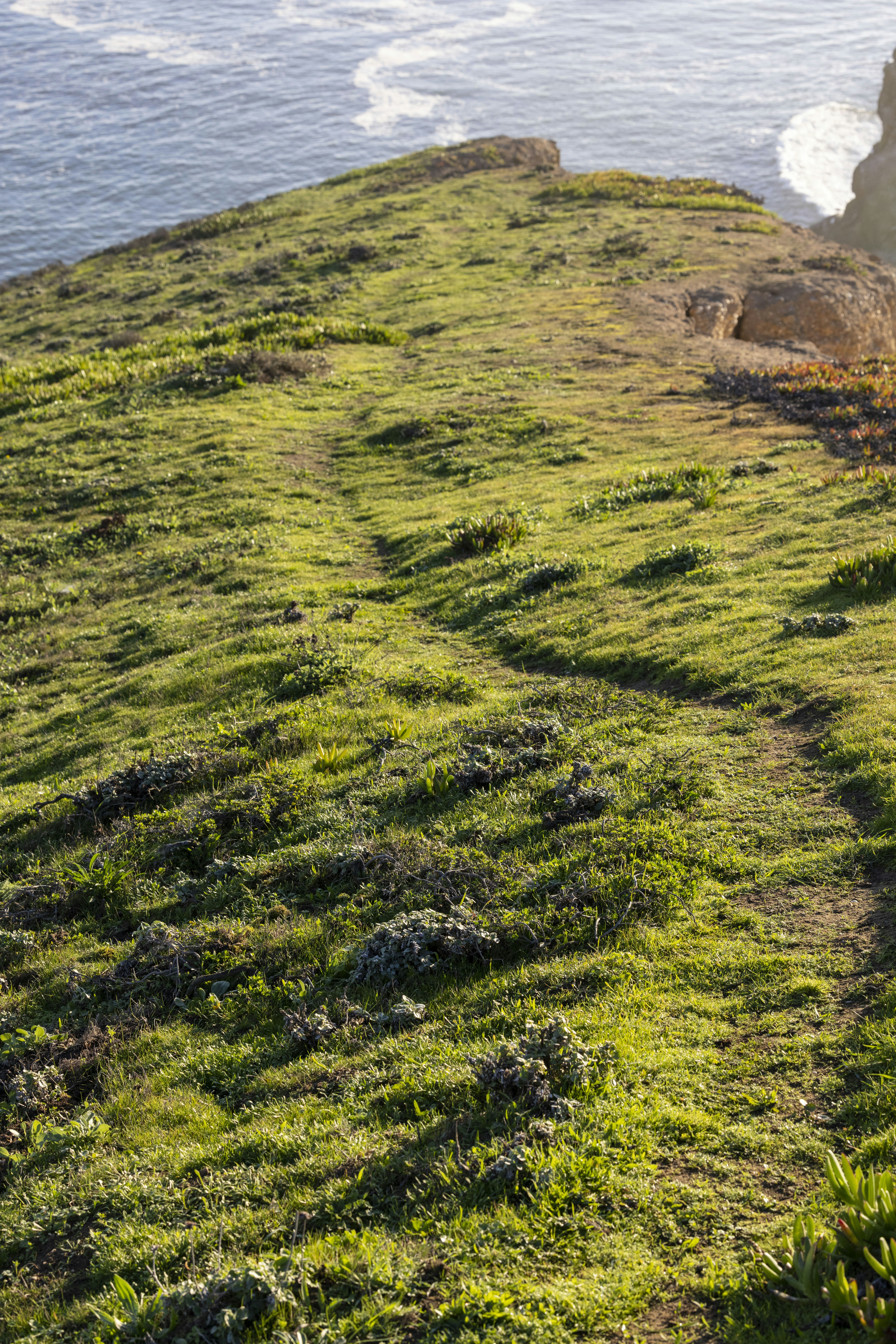 Photo by leo_visions_