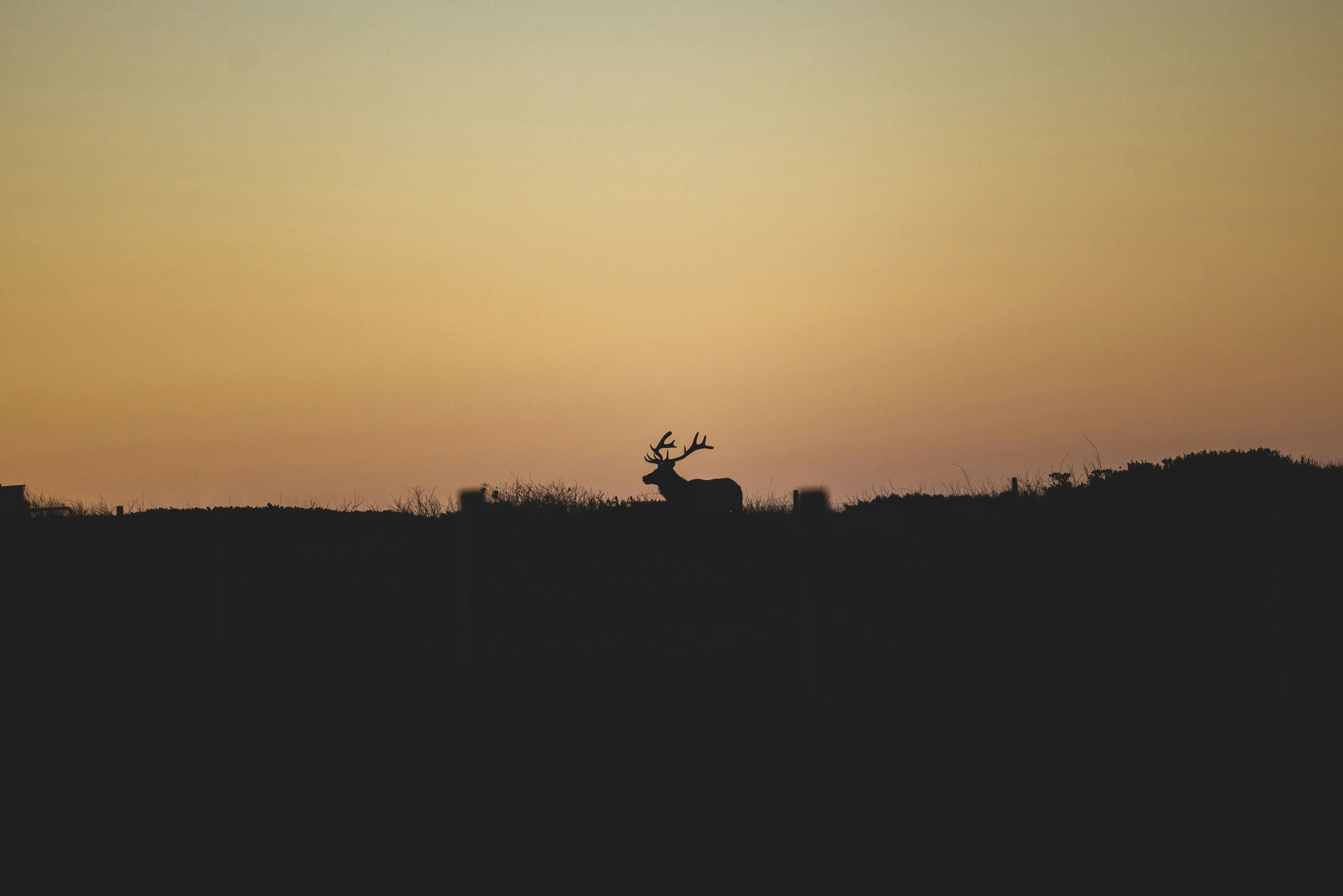 Photo by leo_visions_