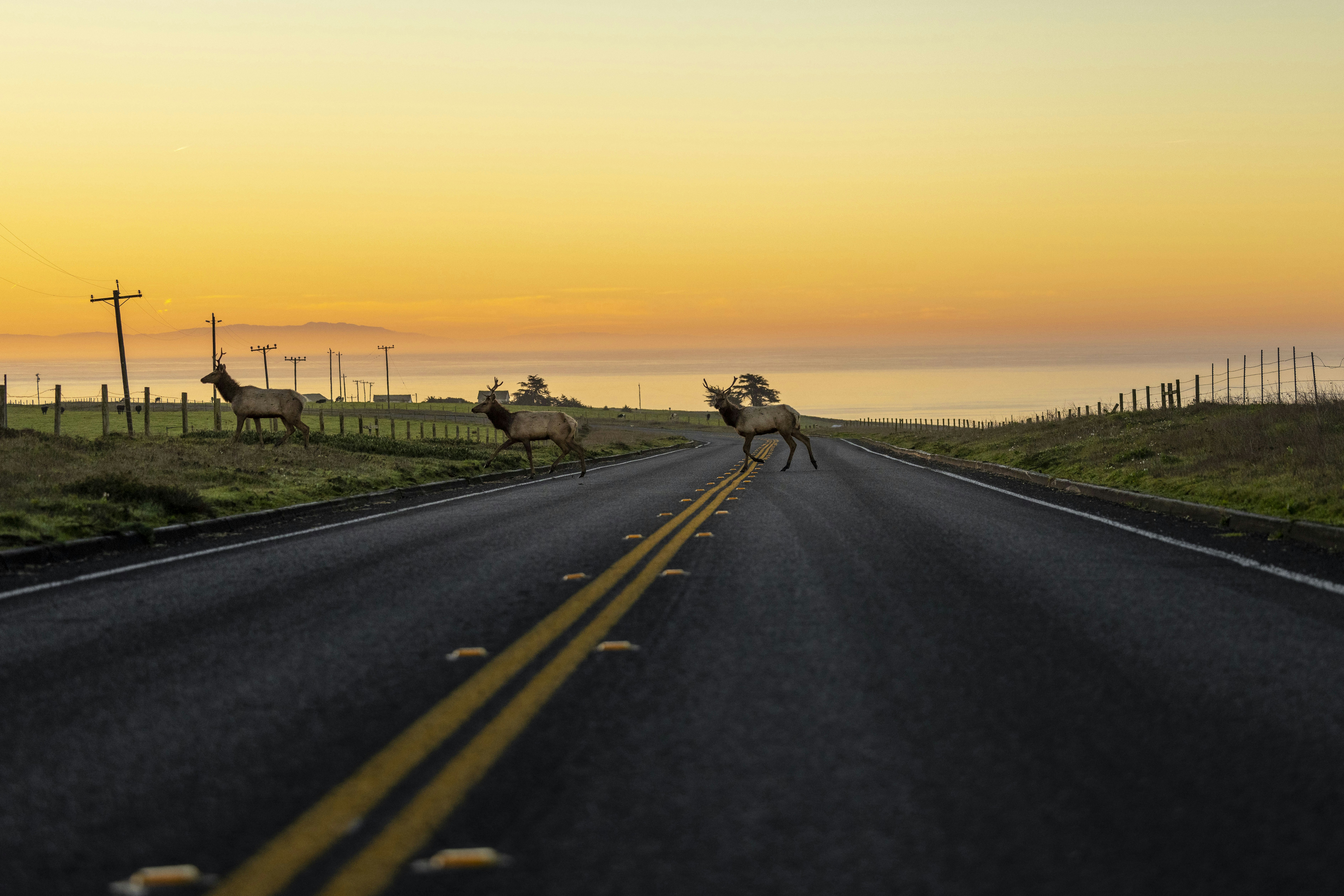 Photo by leo_visions_