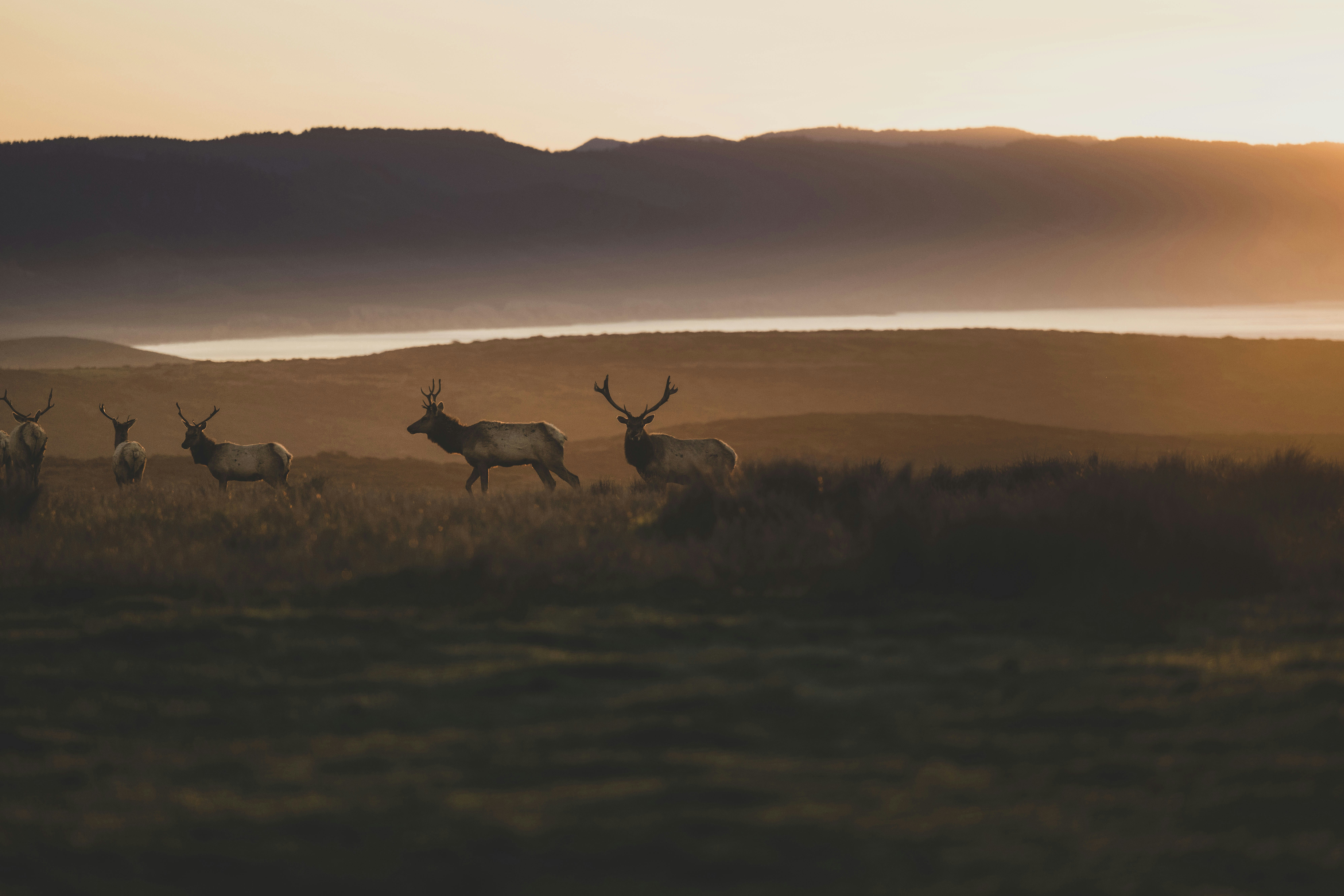 Photo by leo_visions_