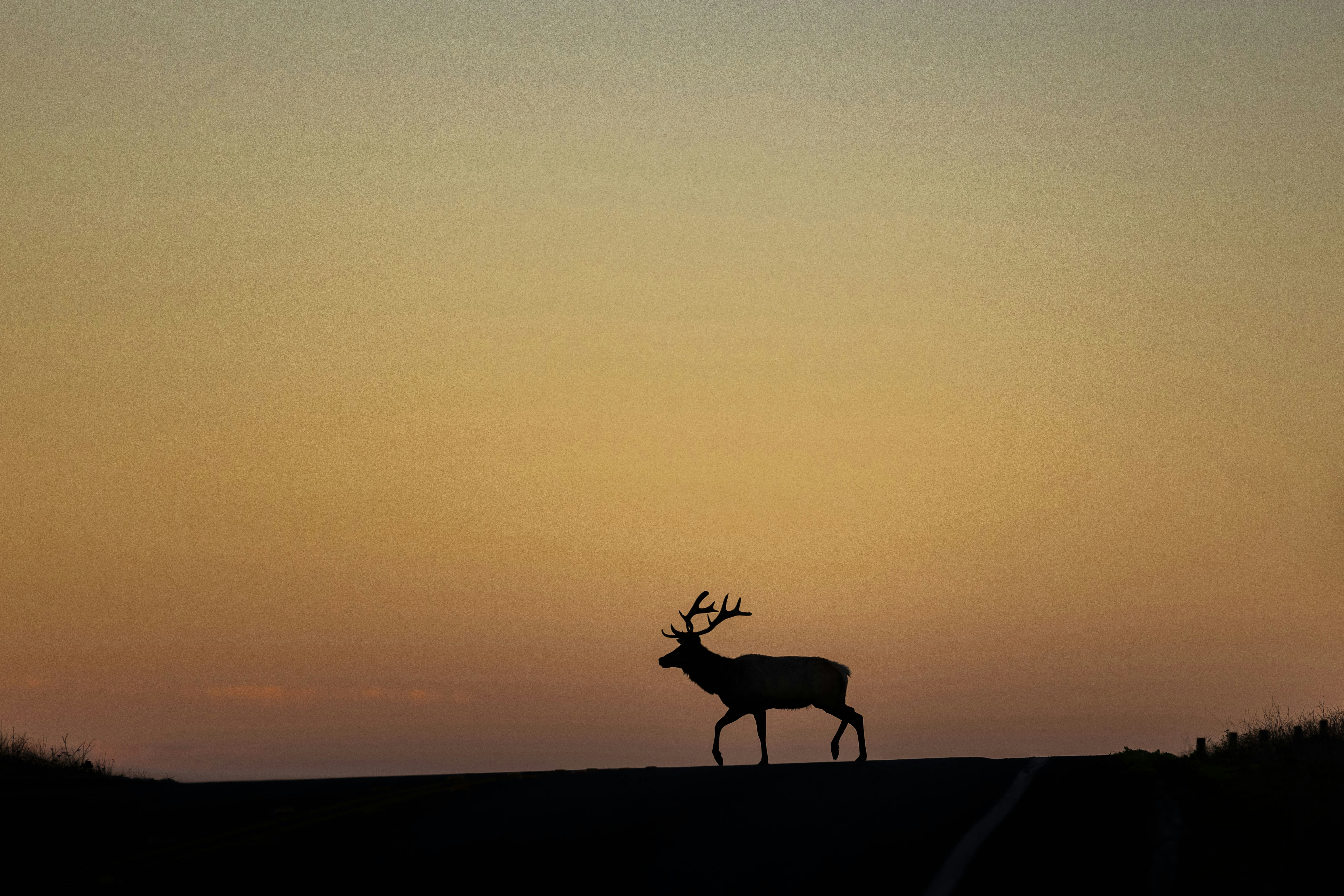 Photo by leo_visions_