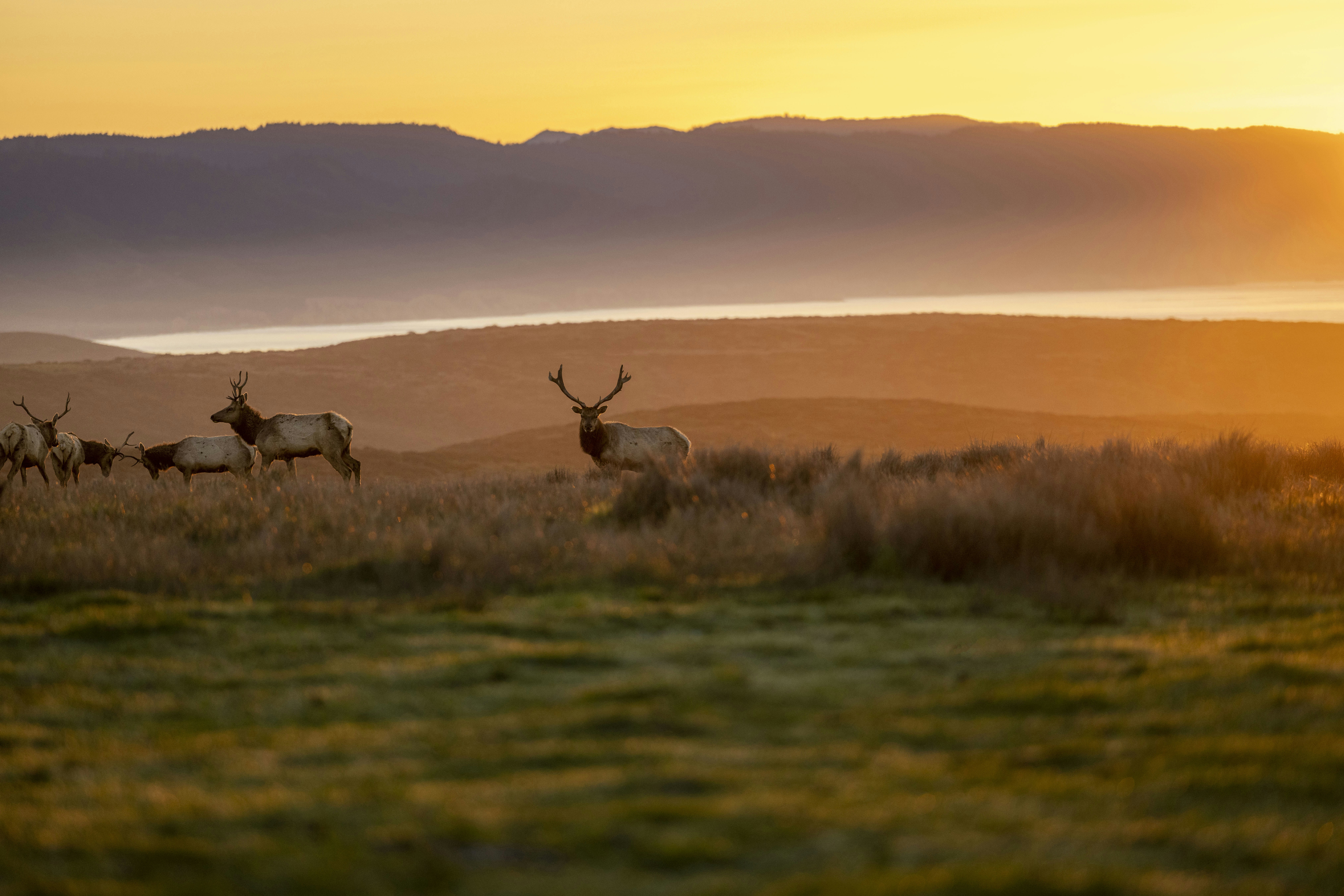 Photo by leo_visions_