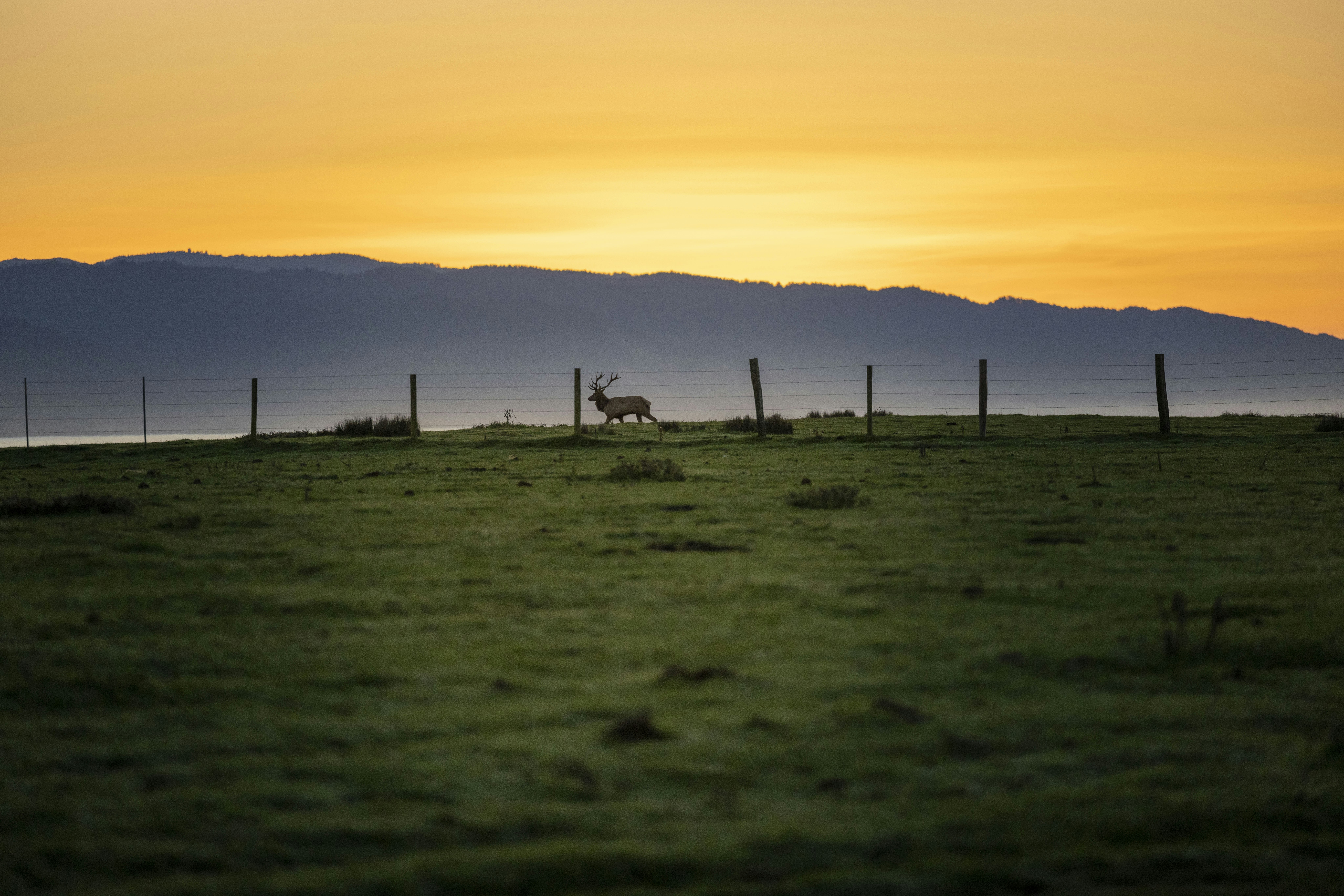 Photo by leo_visions_