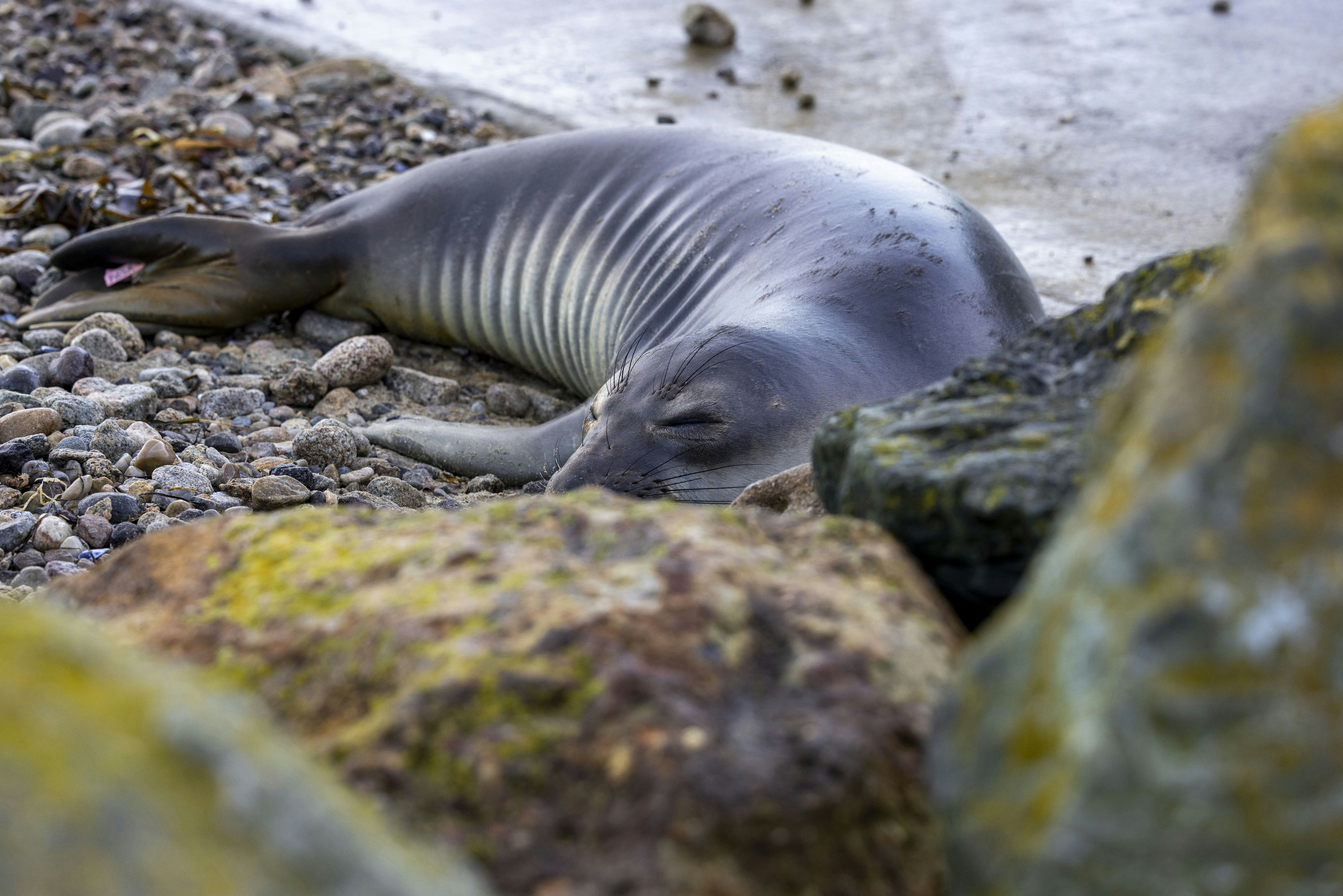 Photo by leo_visions_