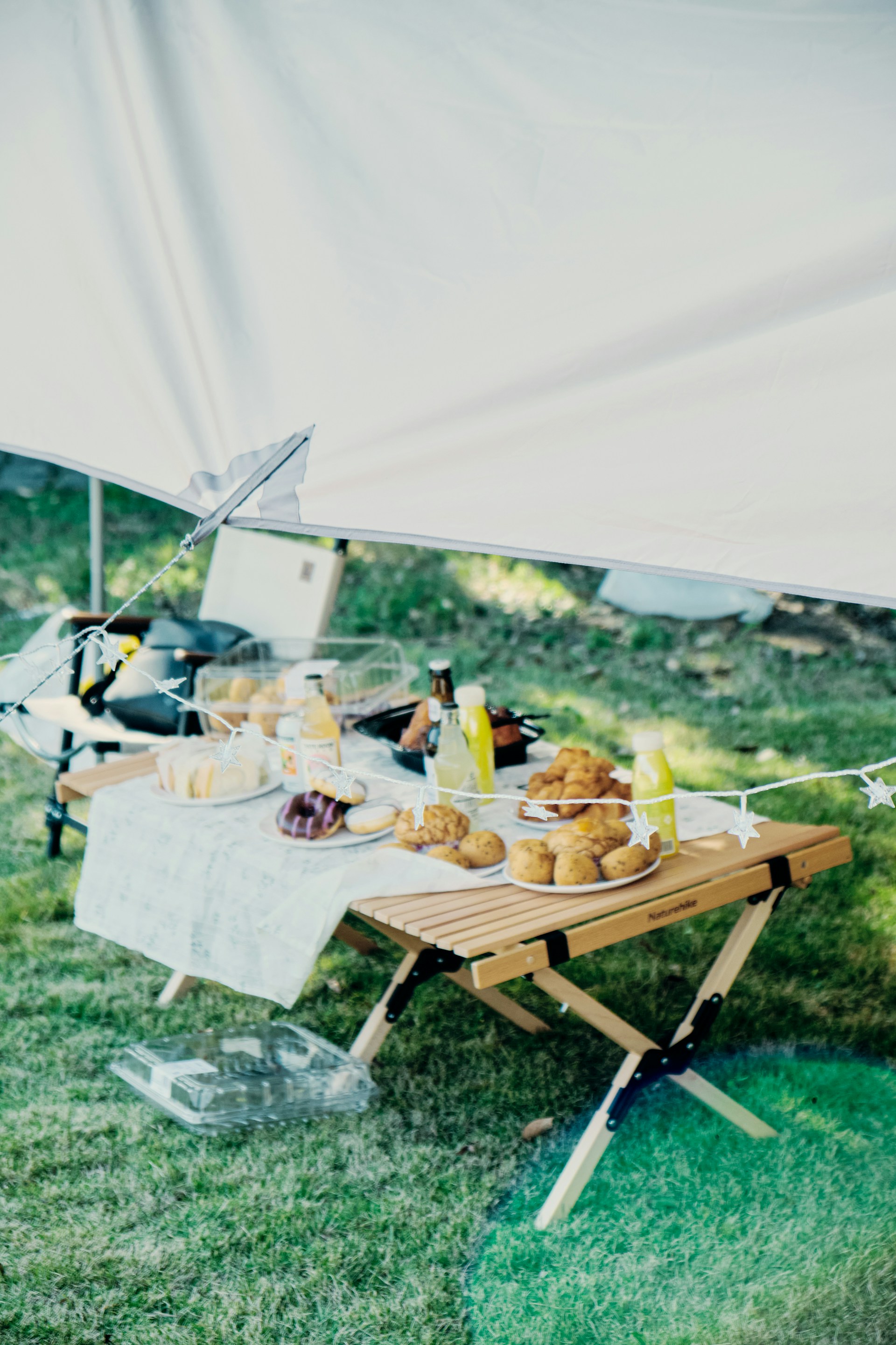 a picnic table with food on it in the grass