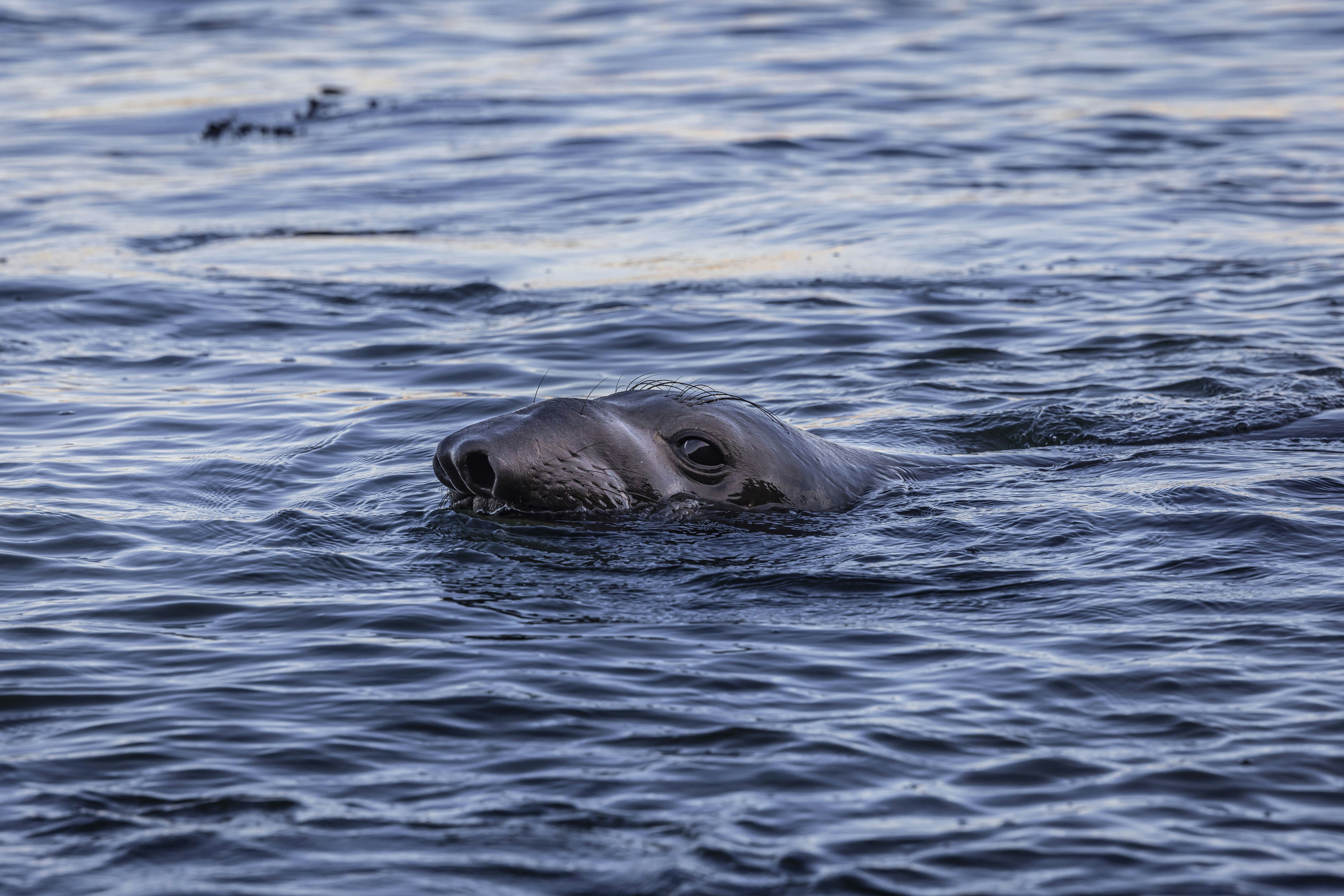 Photo by leo_visions_