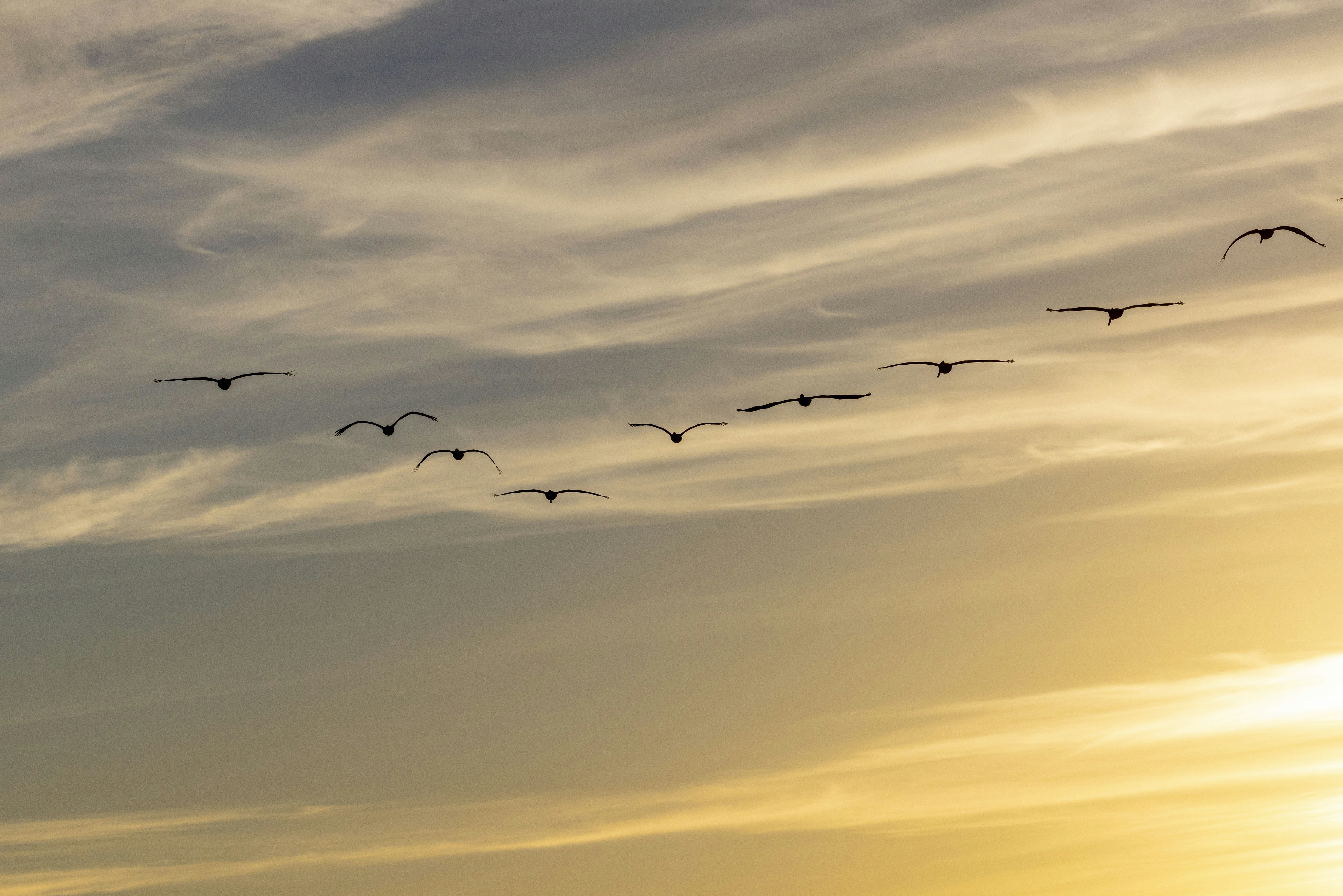 Photo by leo_visions_