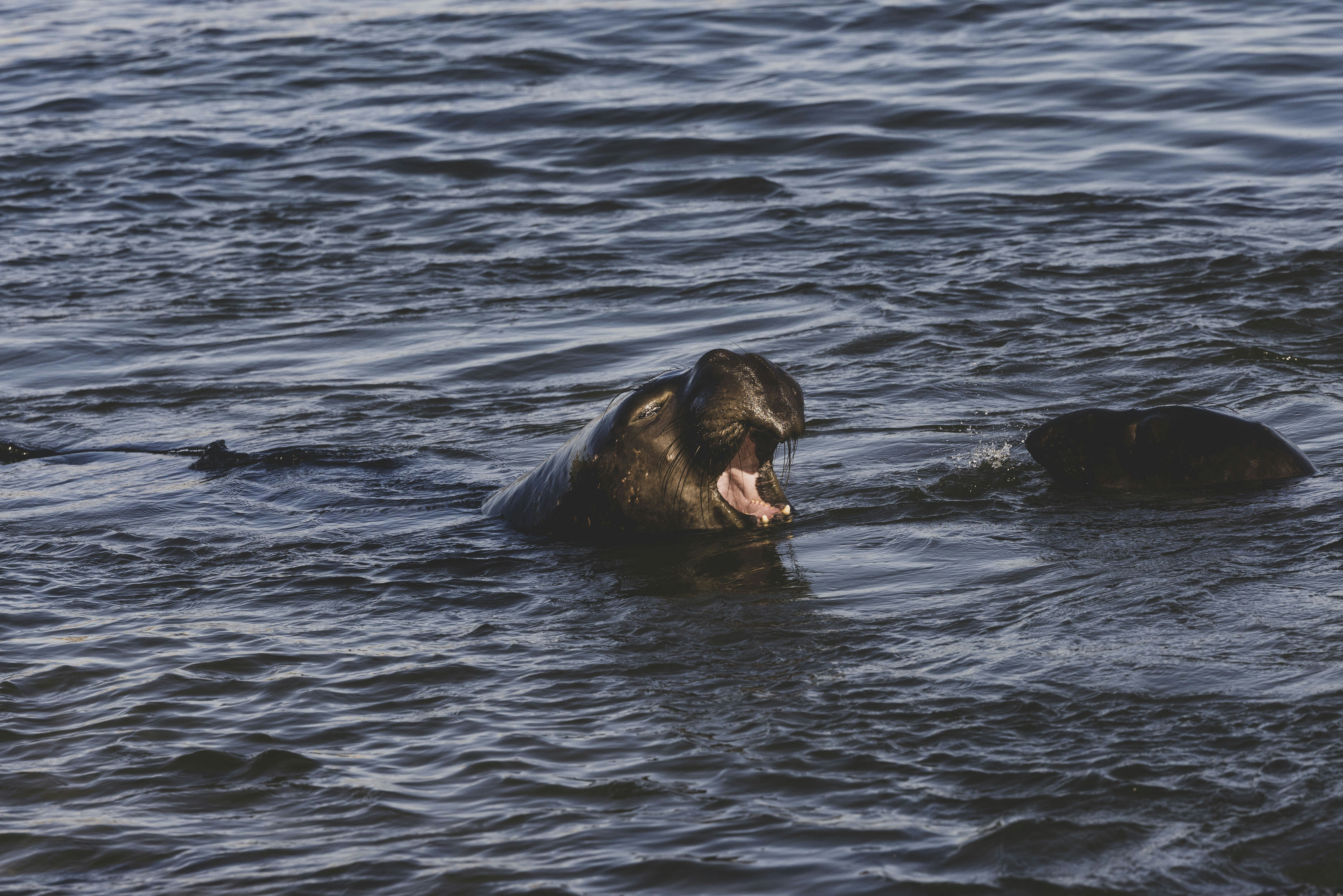 Photo by leo_visions_