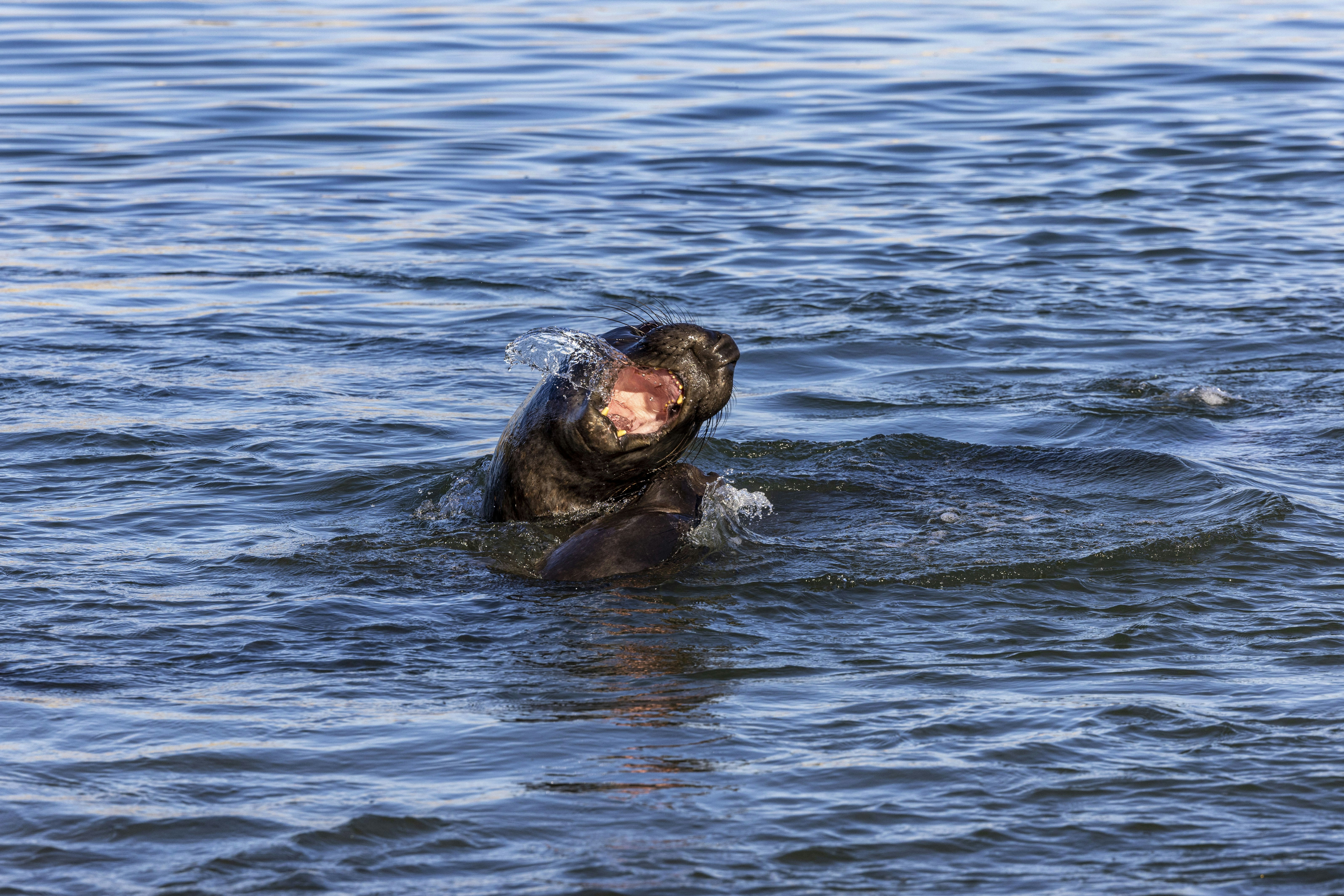 Photo by leo_visions_