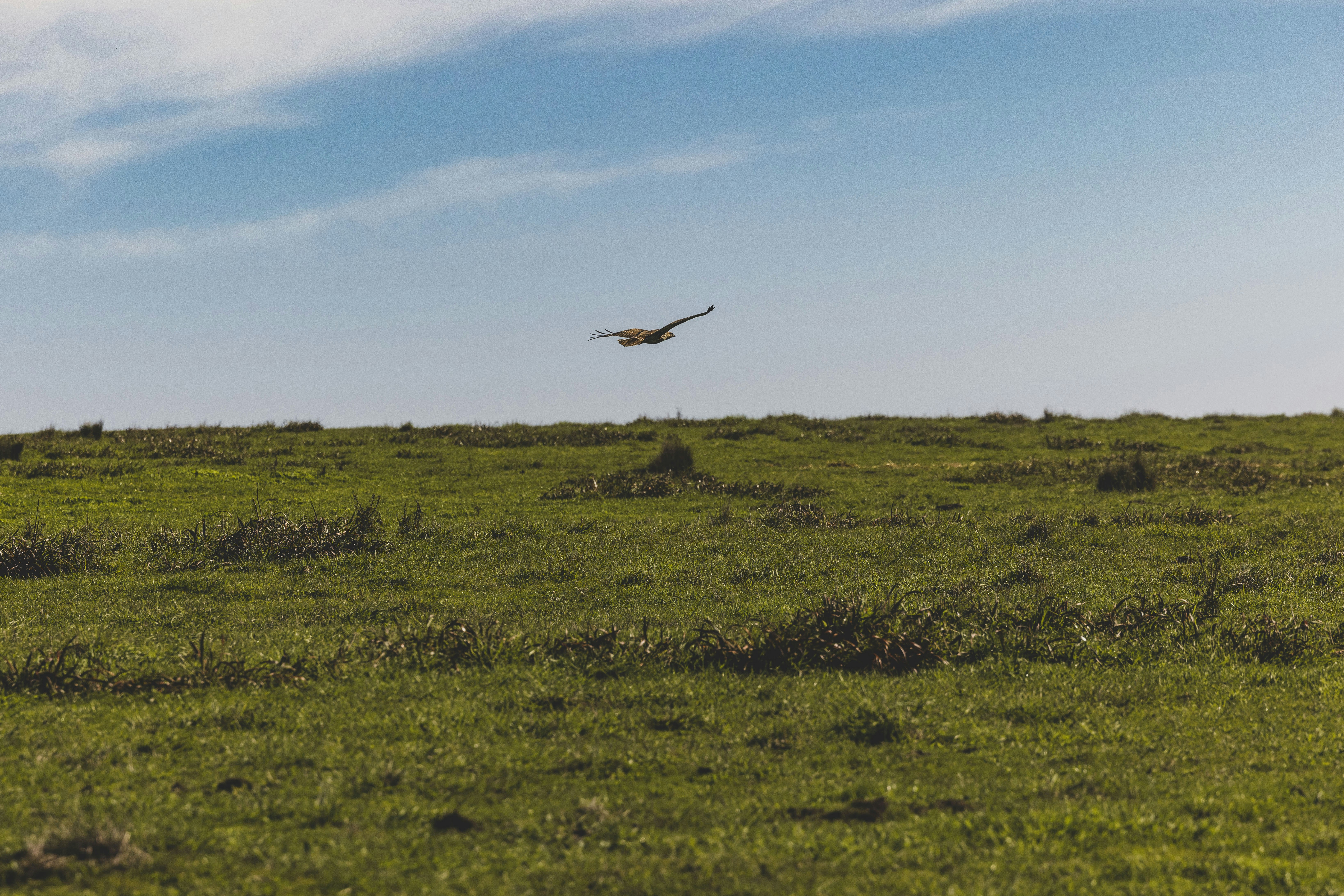 Photo by leo_visions_