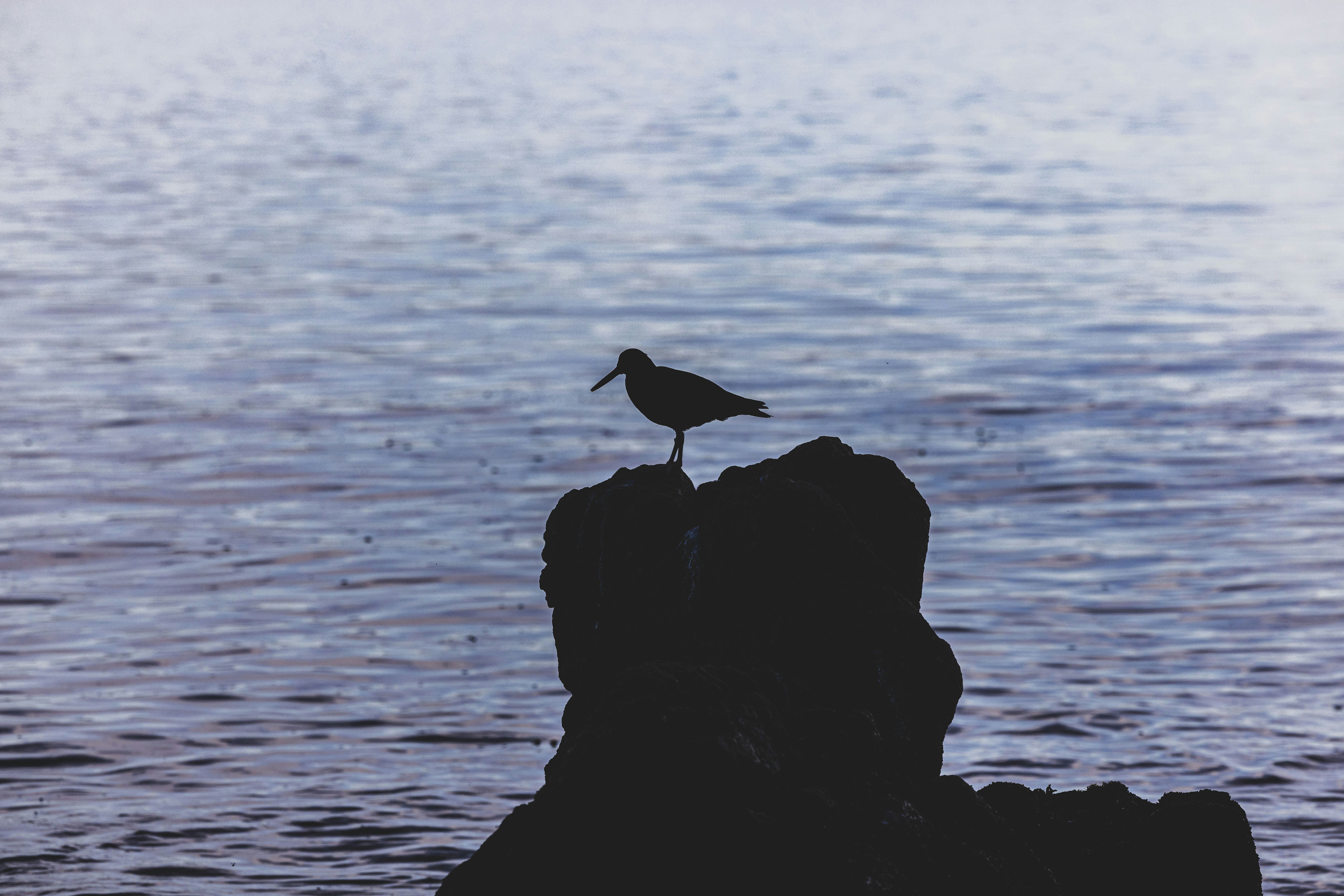 Photo by leo_visions_