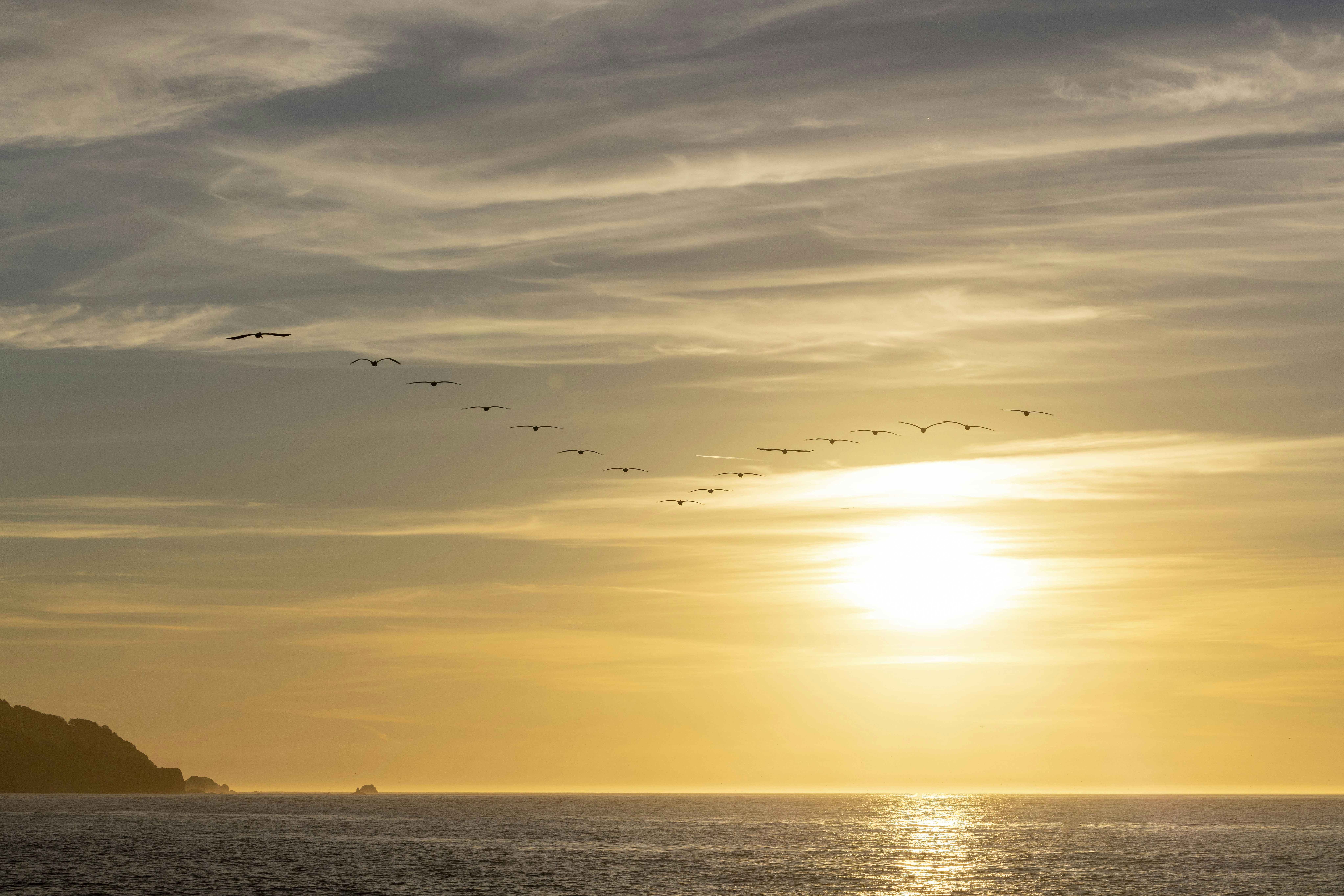 Photo by leo_visions_