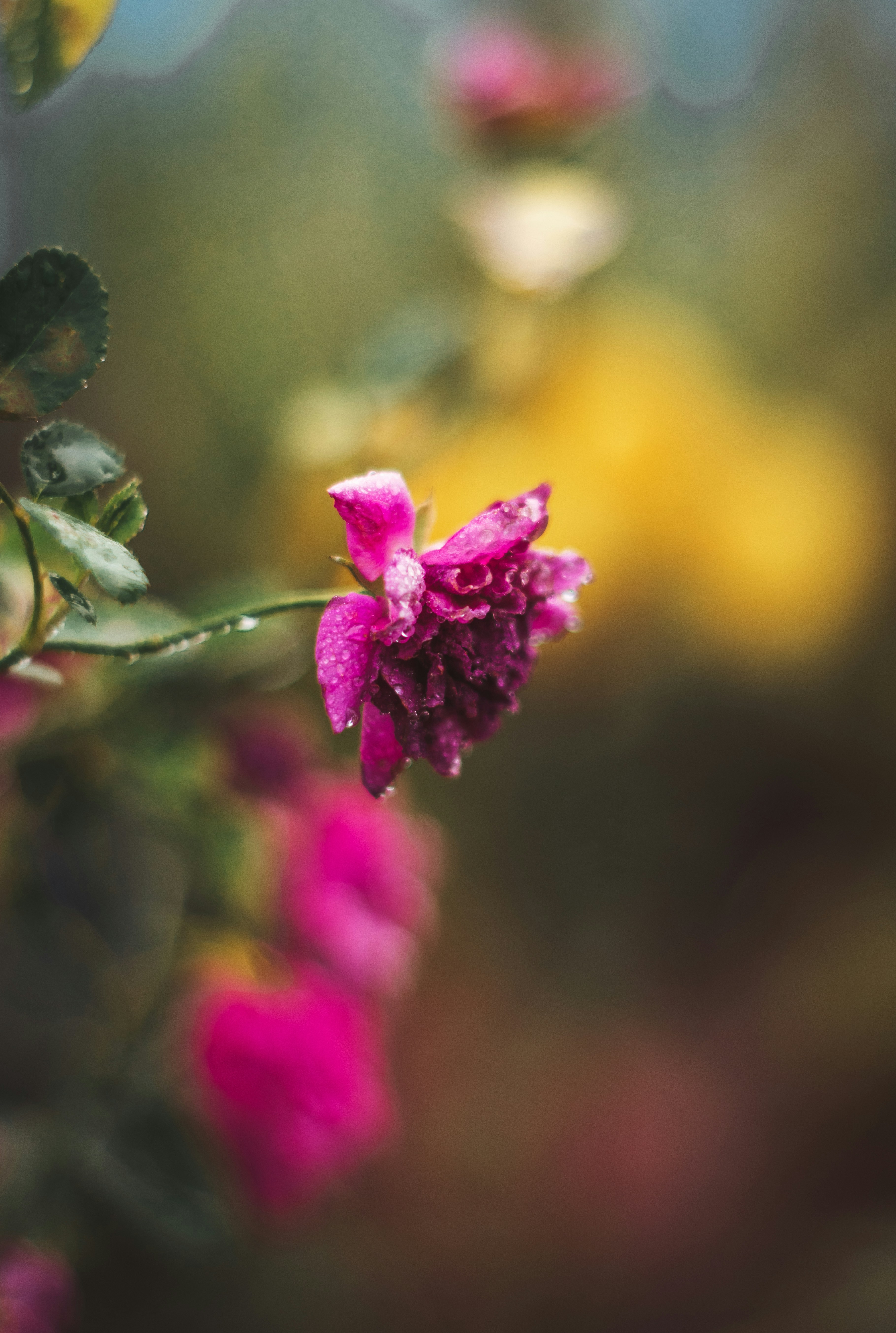 Photo by ravenrishi