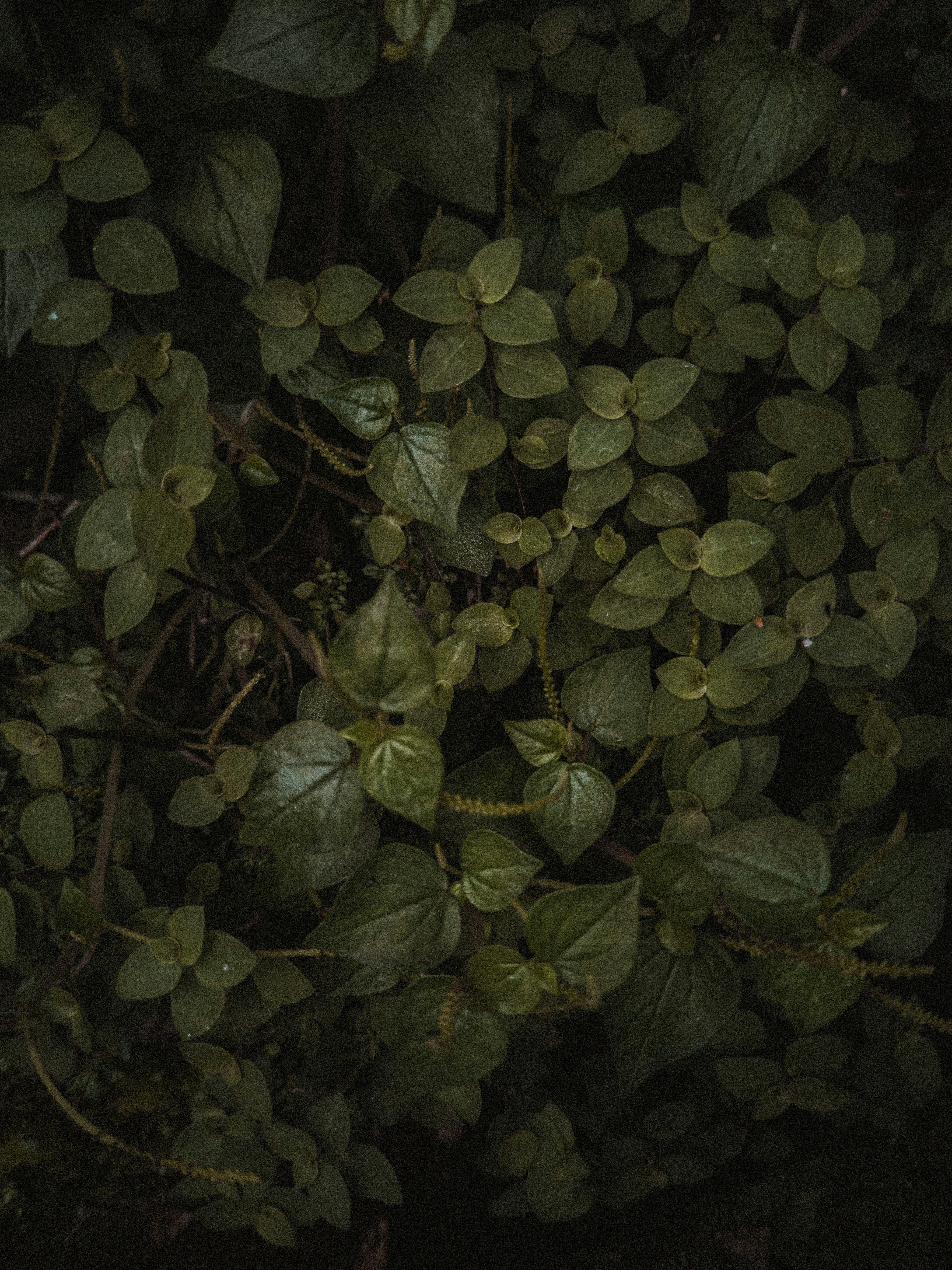 Photo by auinirosenfeld