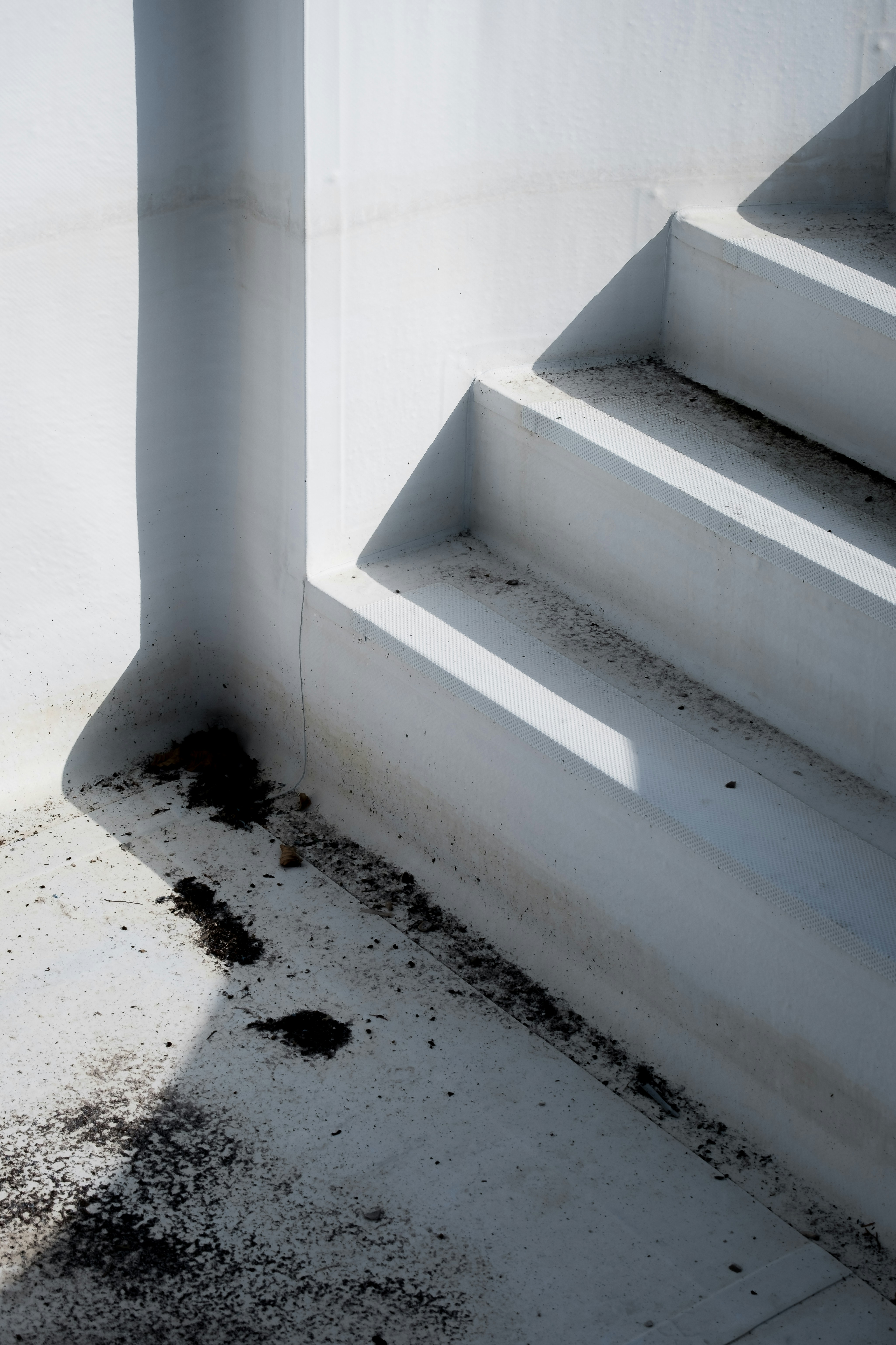 Photo by lukas_kyzur