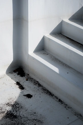 mold damage caused by flooding