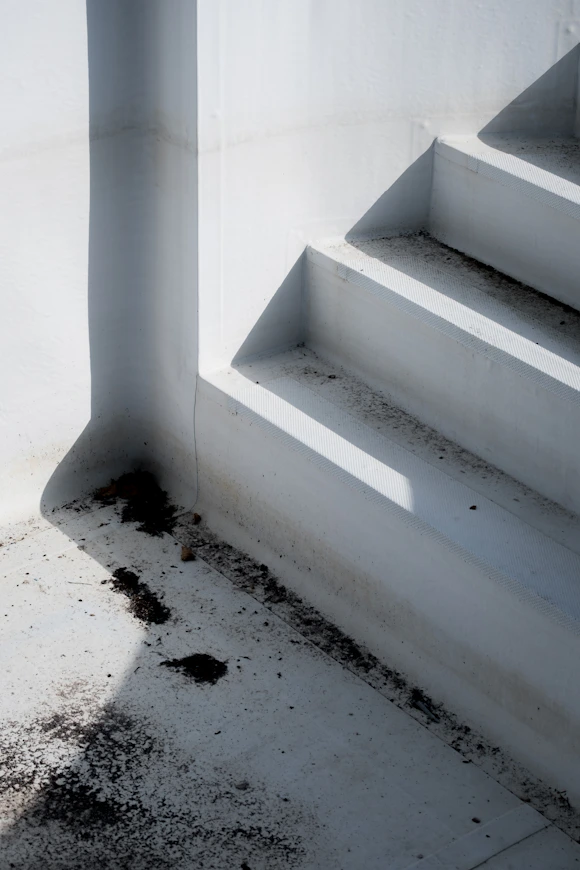 mold damage caused by flooding