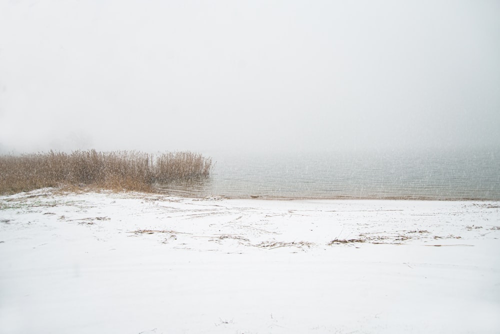 a field covered in snow next to a body of water