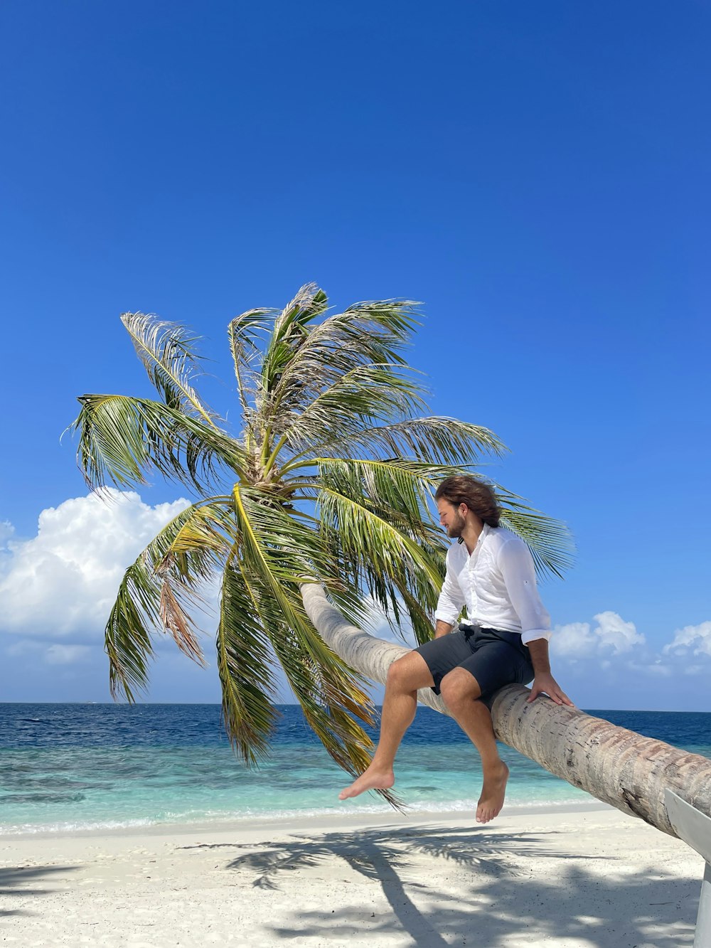 a woman sitting on a palm tree on a beach