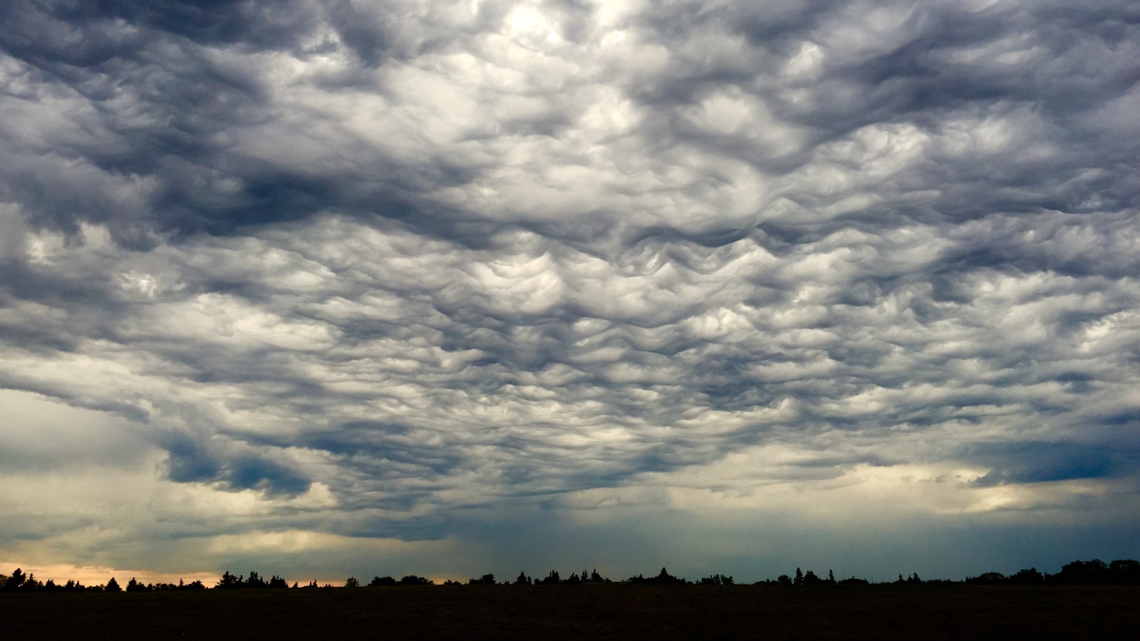 Overlanders in Northeast Edmonton: A Hidden Gem Where History, Affordability, and Nature Meet