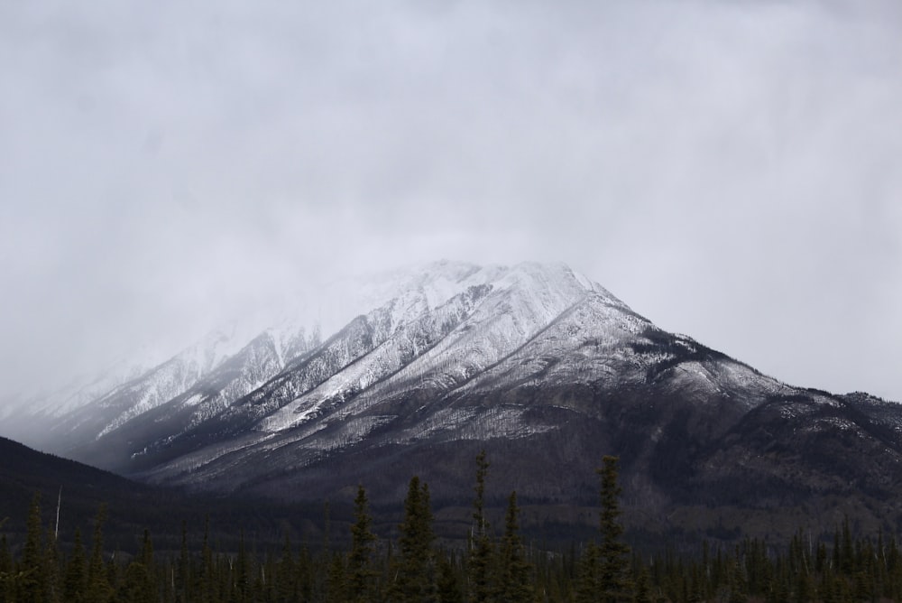 a mountain covered in snow with trees in the foreground