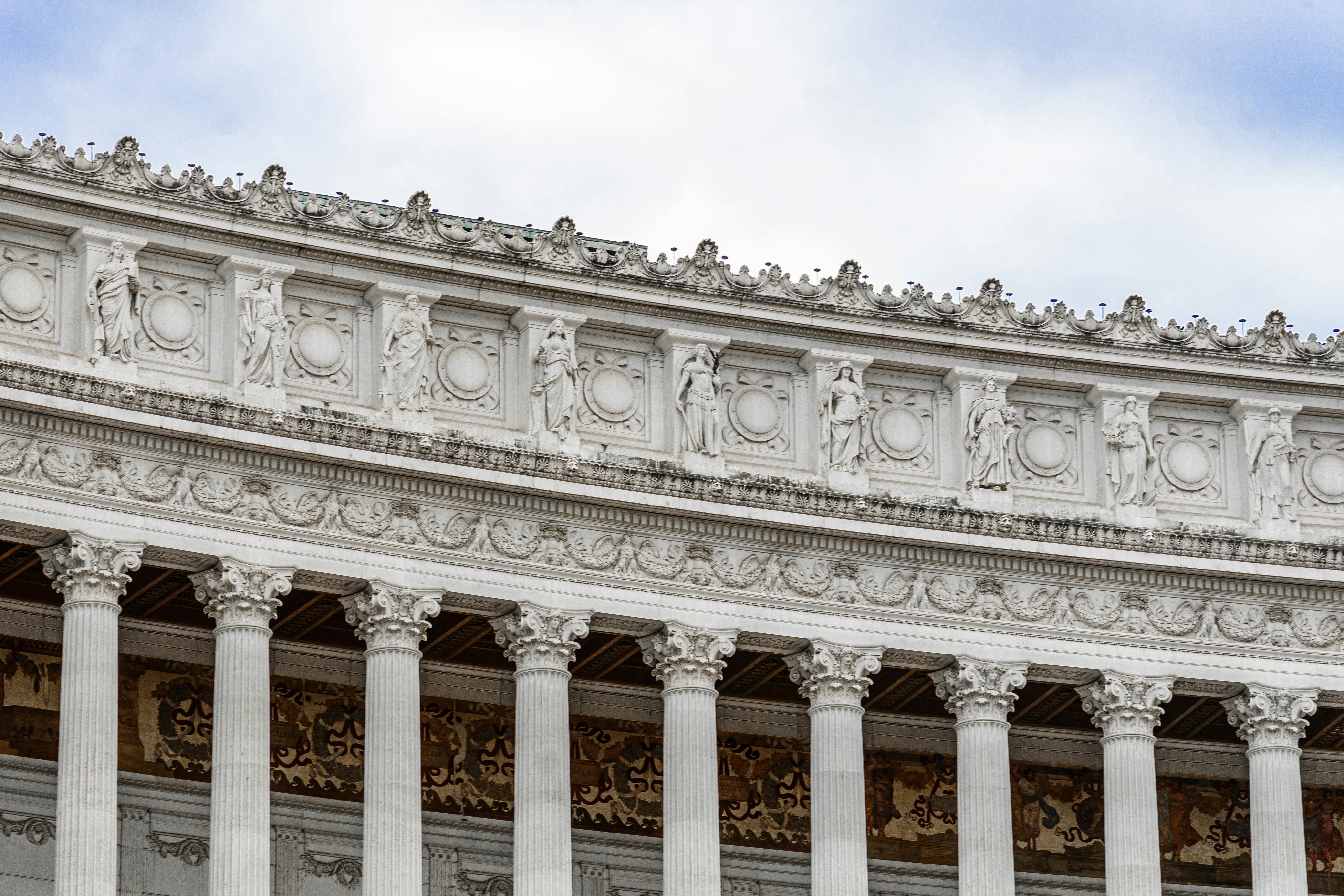 Peaceful evergreen forest