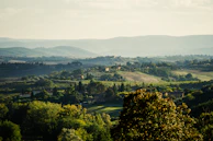 A picturesque countryside view with rolling hills.