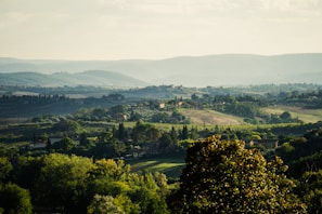 A picturesque countryside landscape with rolling hills.