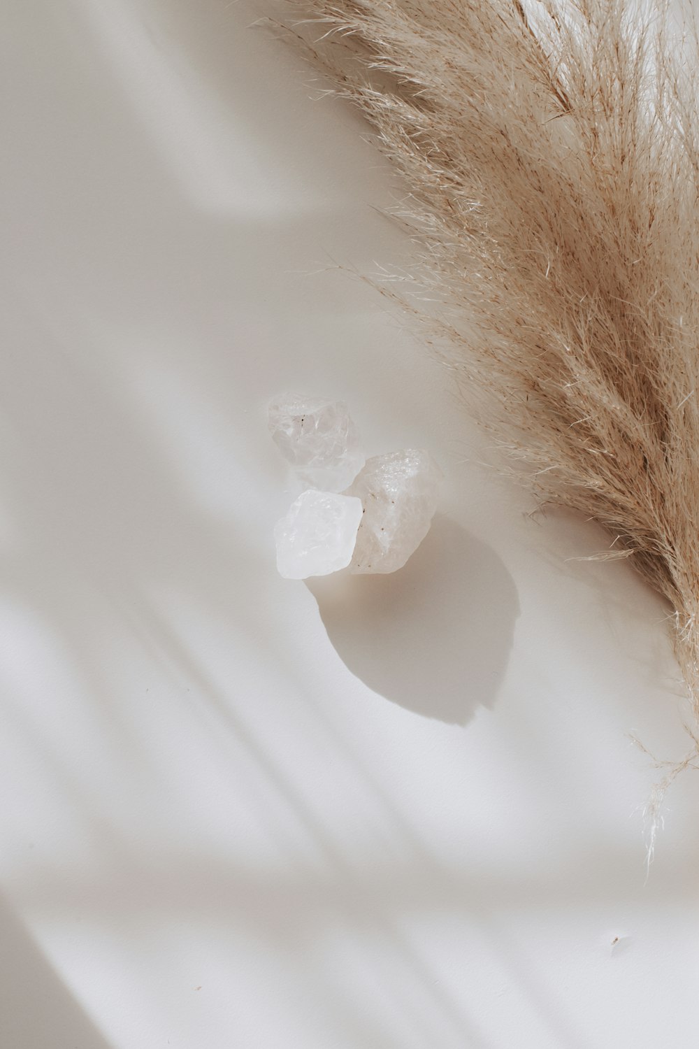 a couple of pieces of ice sitting on top of a table