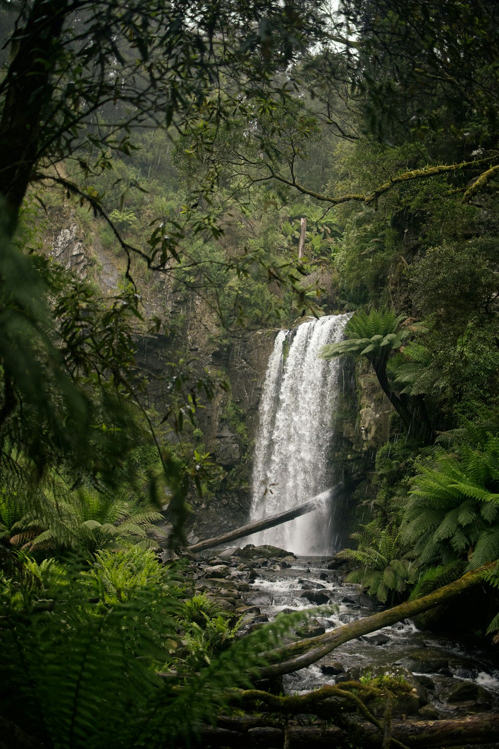 a large waterfall in the middle of a forest