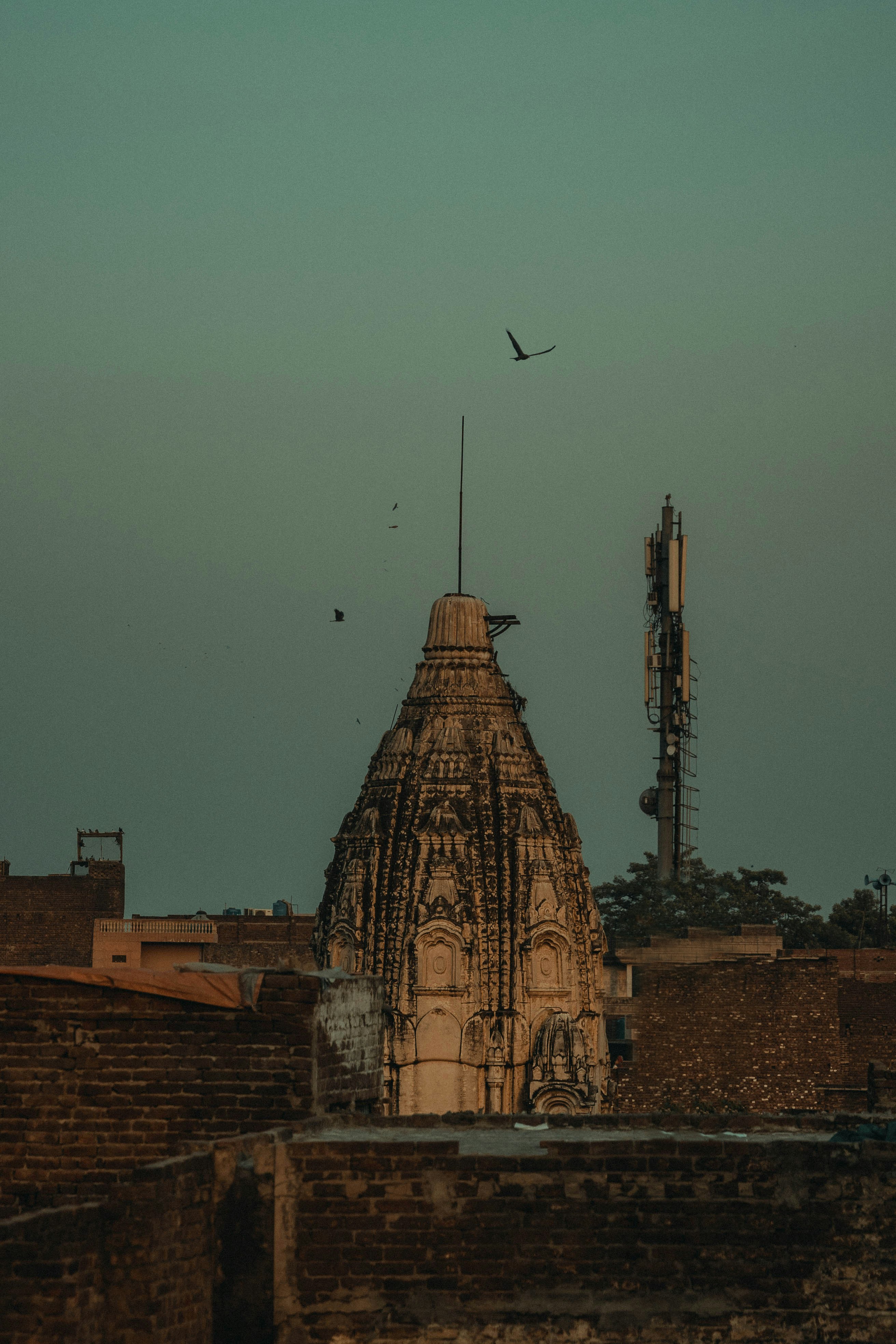 Photo by jncreativity