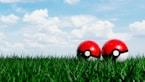two red and white balls sitting in the grass