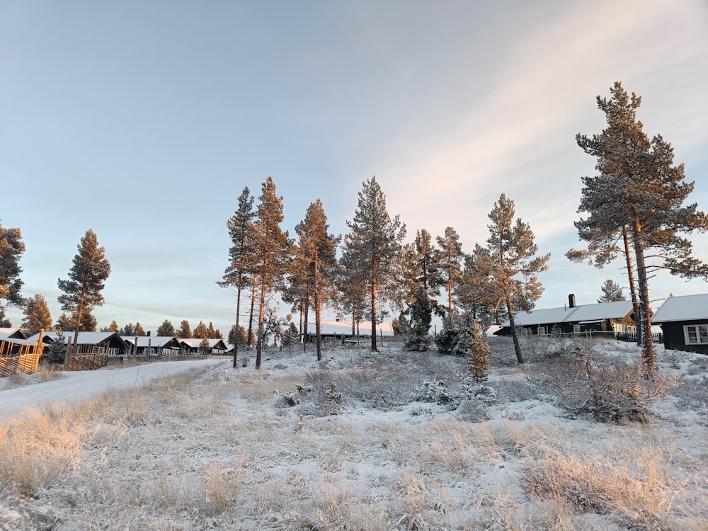 a snow covered field with trees and houses in the background