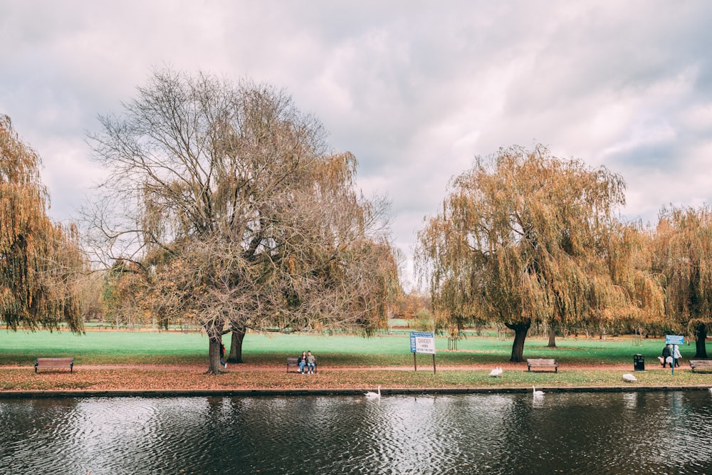 Ein See in einem Park mit Bänken und Bäumen