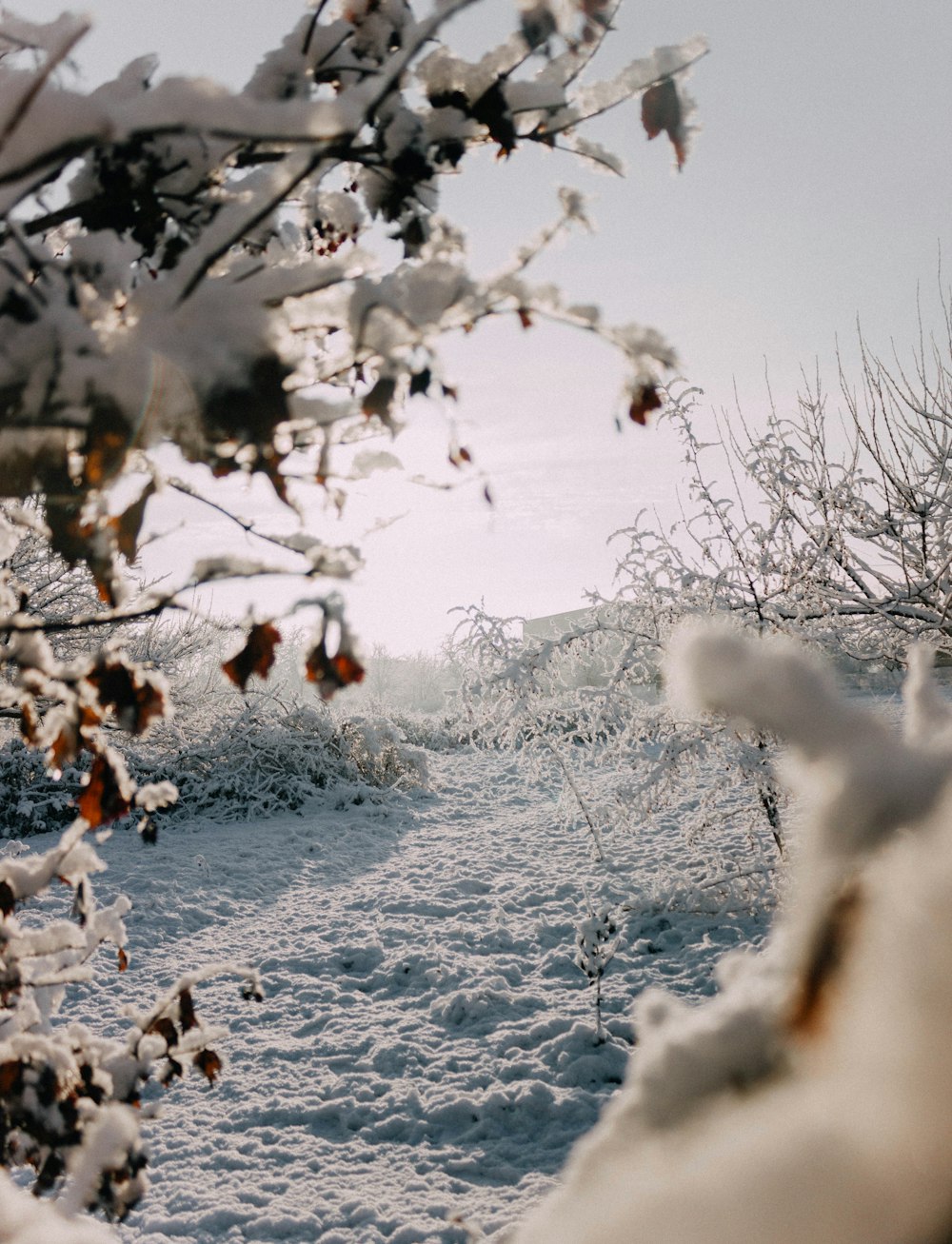 a snowboarder is going down a snowy hill