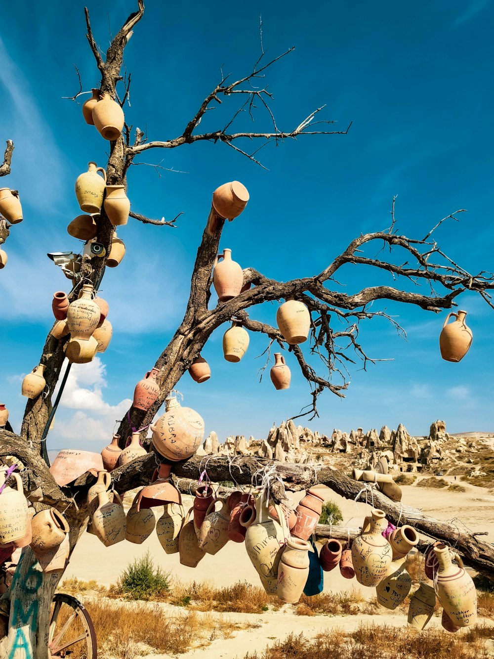 a tree with lots of pots hanging from it's branches