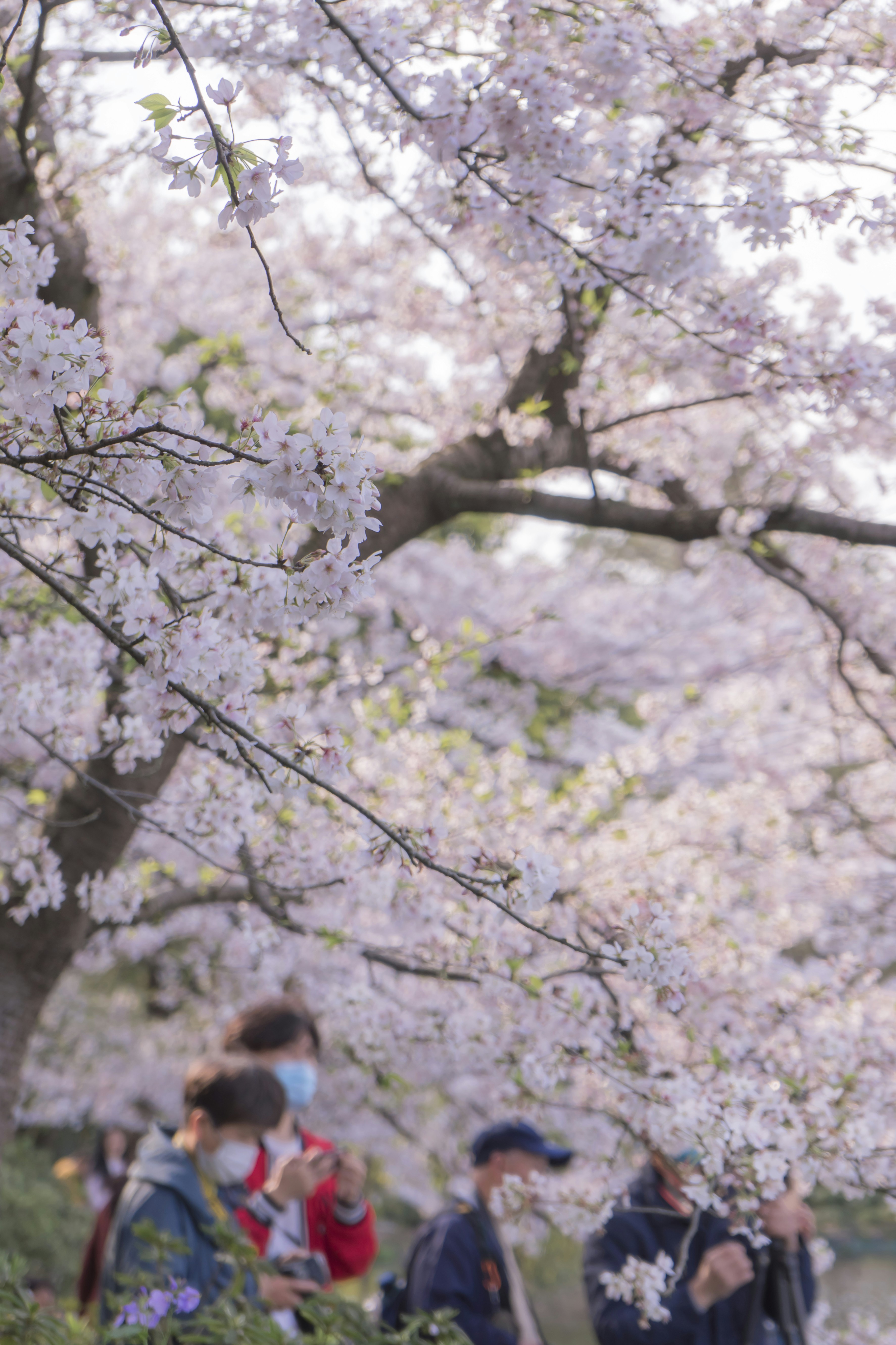 Photo by jeffreyzhang_920