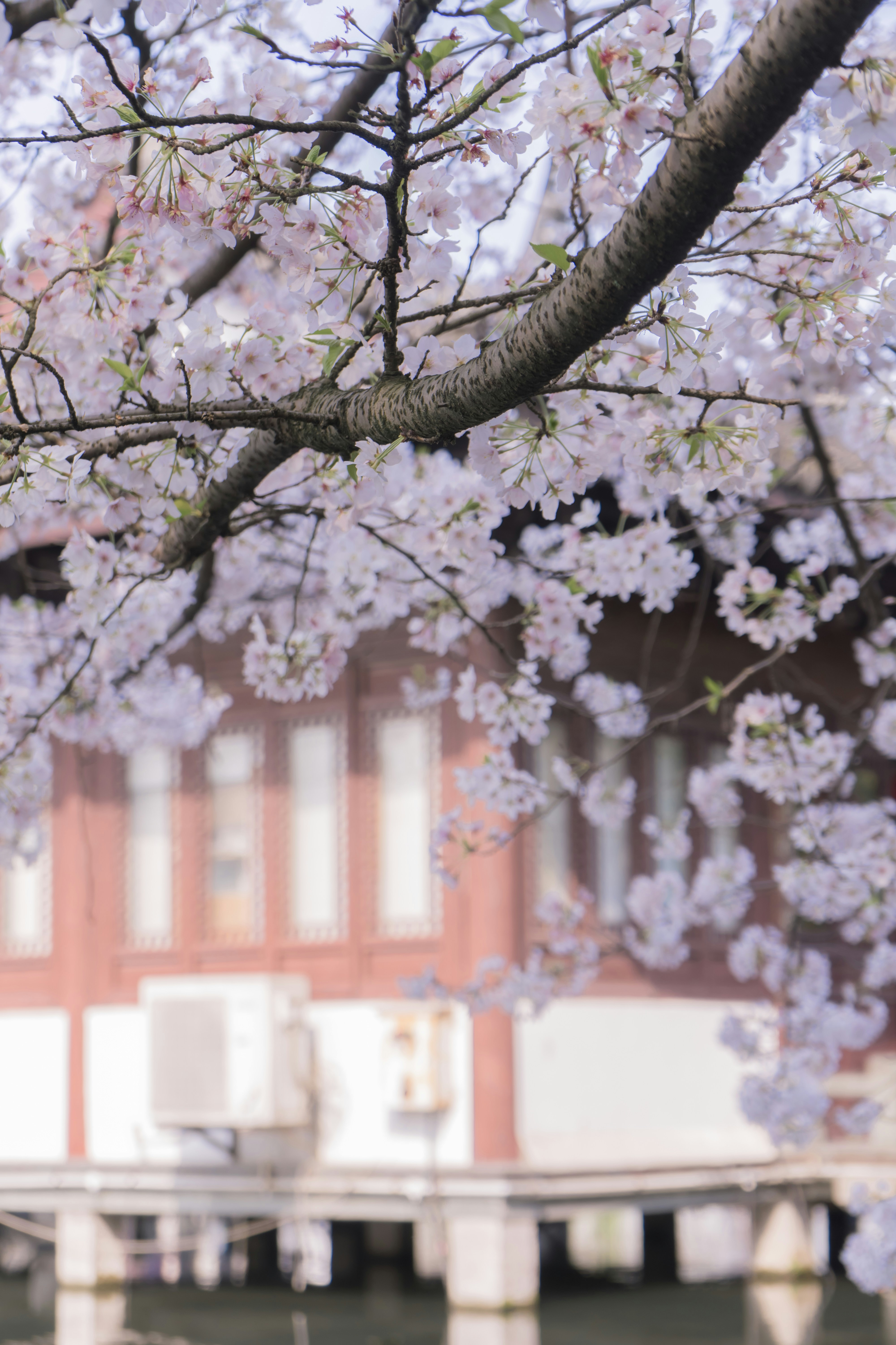 Photo by jeffreyzhang_920