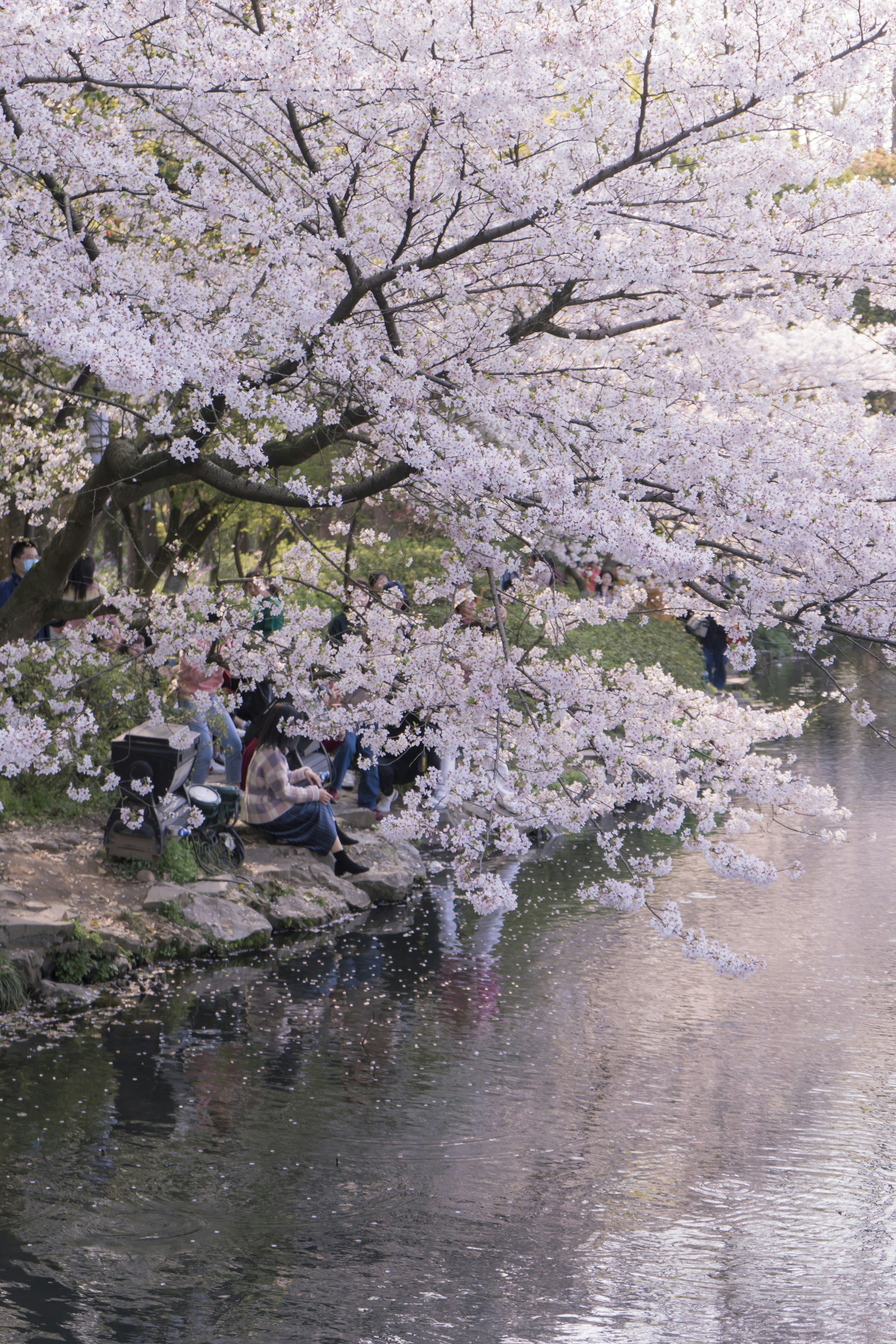 Photo by jeffreyzhang_920