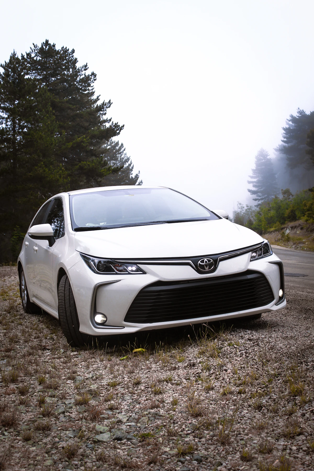 Toyota Corolla sedán blanco visto de frente en una carretera