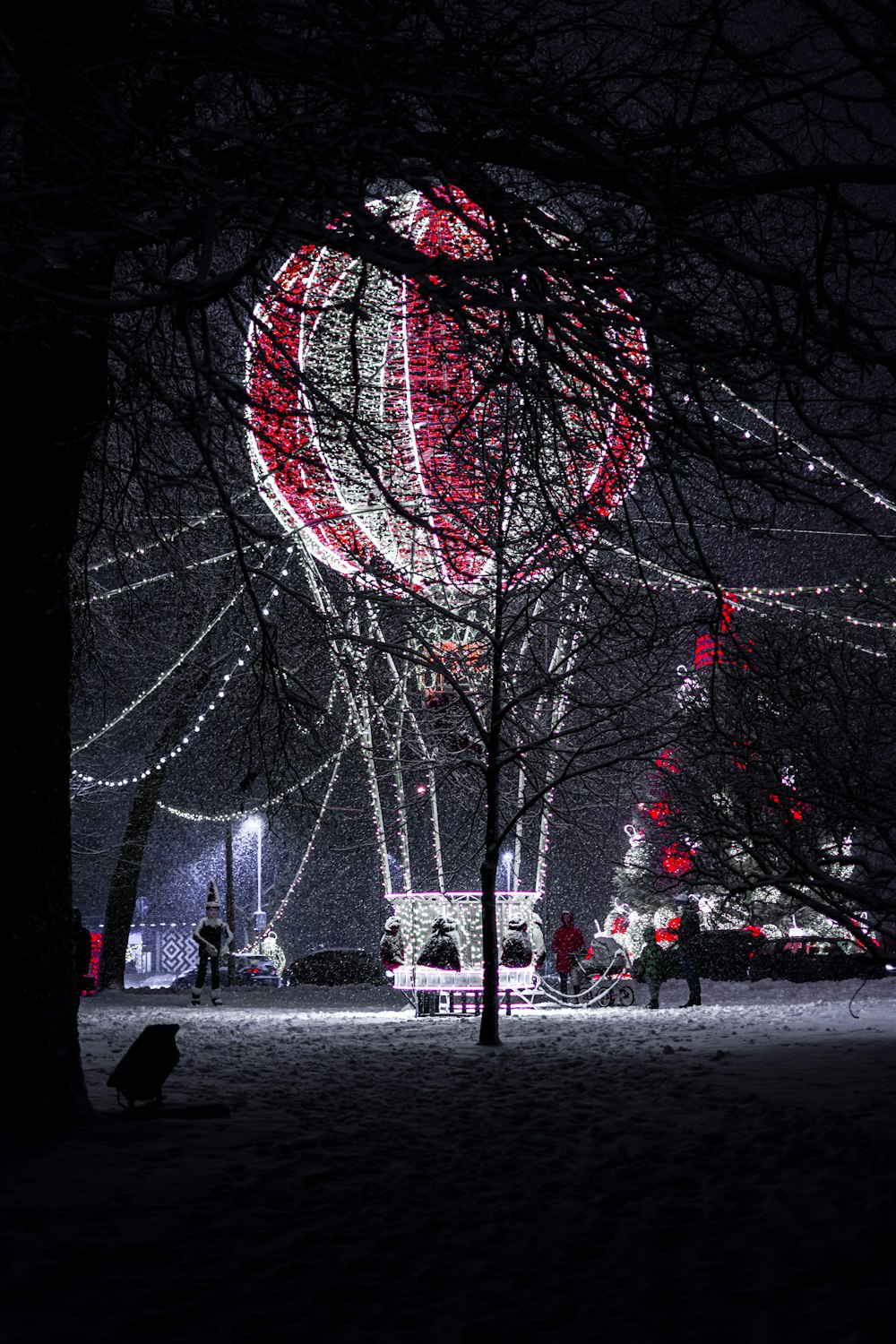 a christmas light display in a park at night