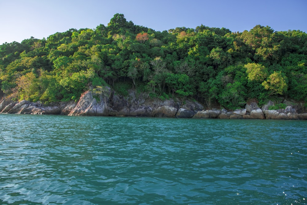 a body of water surrounded by trees and rocks