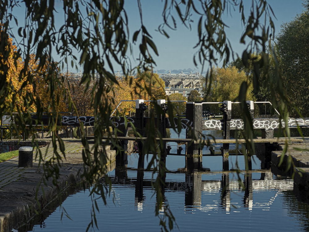 a bridge over a body of water surrounded by trees