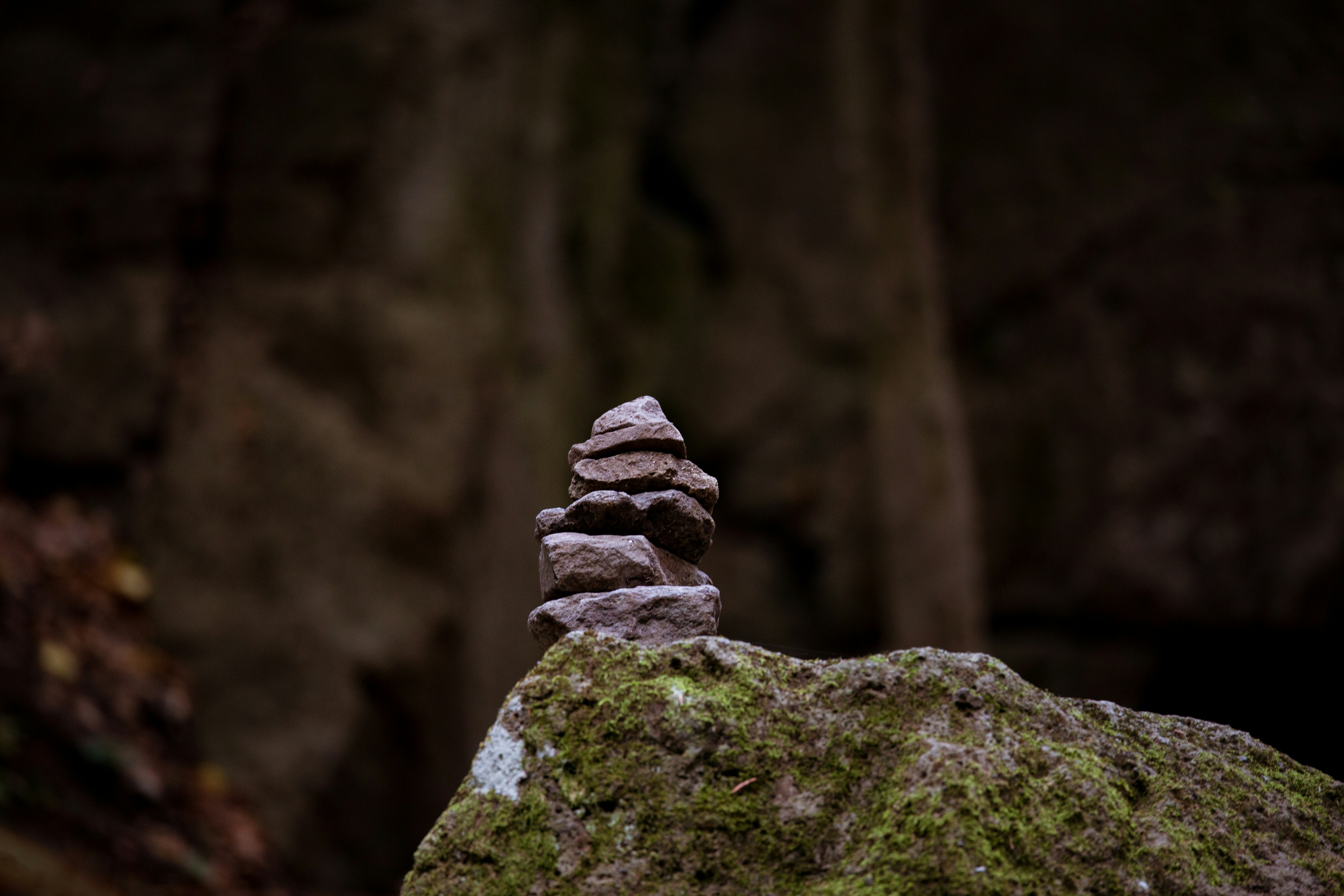 Photo by dormanykristof