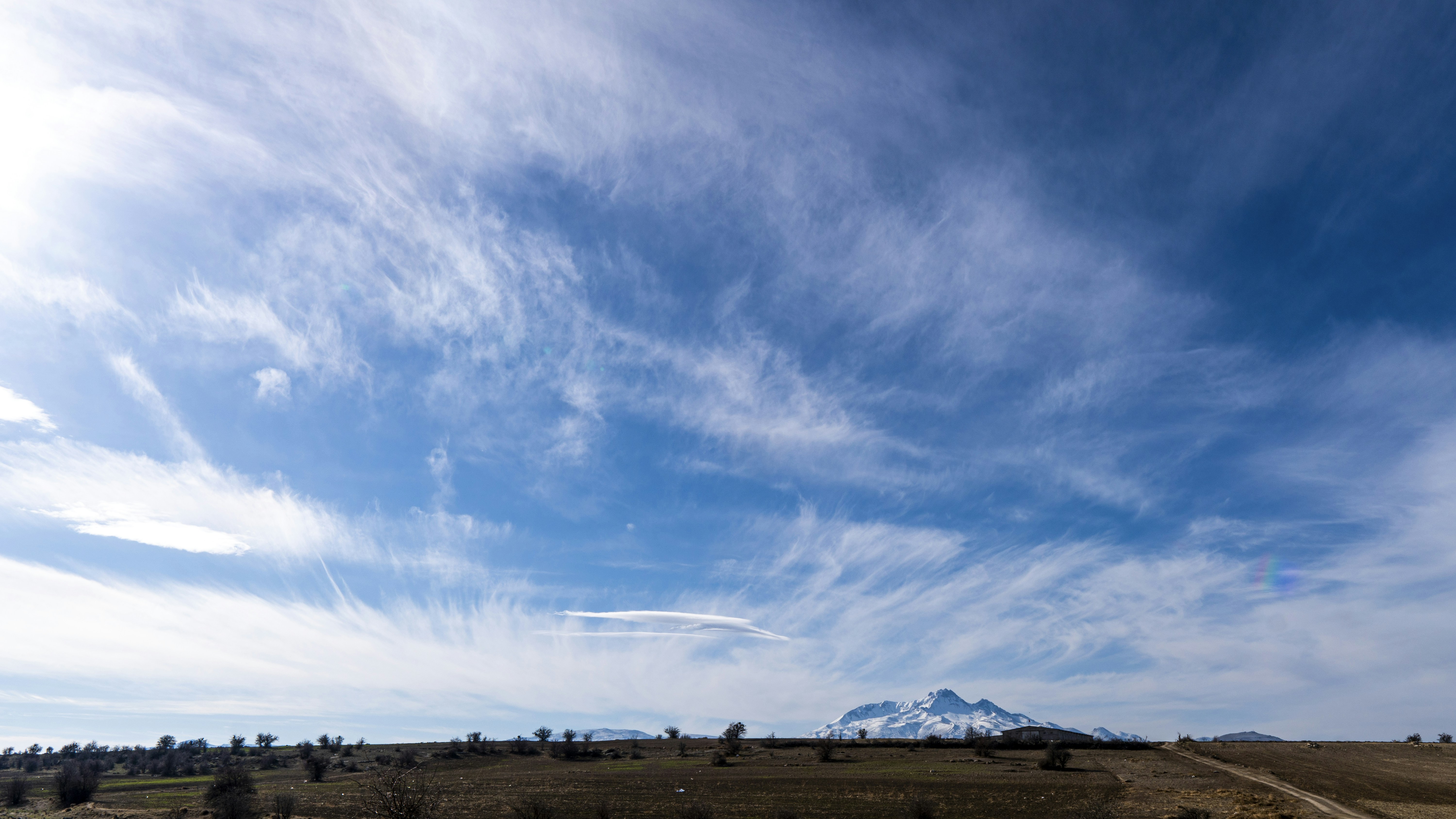 Un grand champ avec une montagne au loin