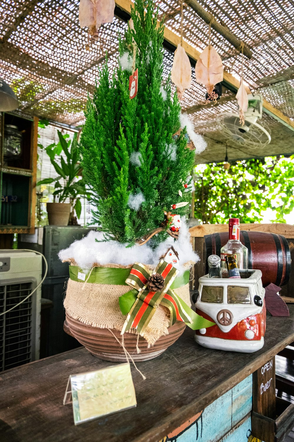 um vaso de planta sentado em cima de uma mesa de madeira