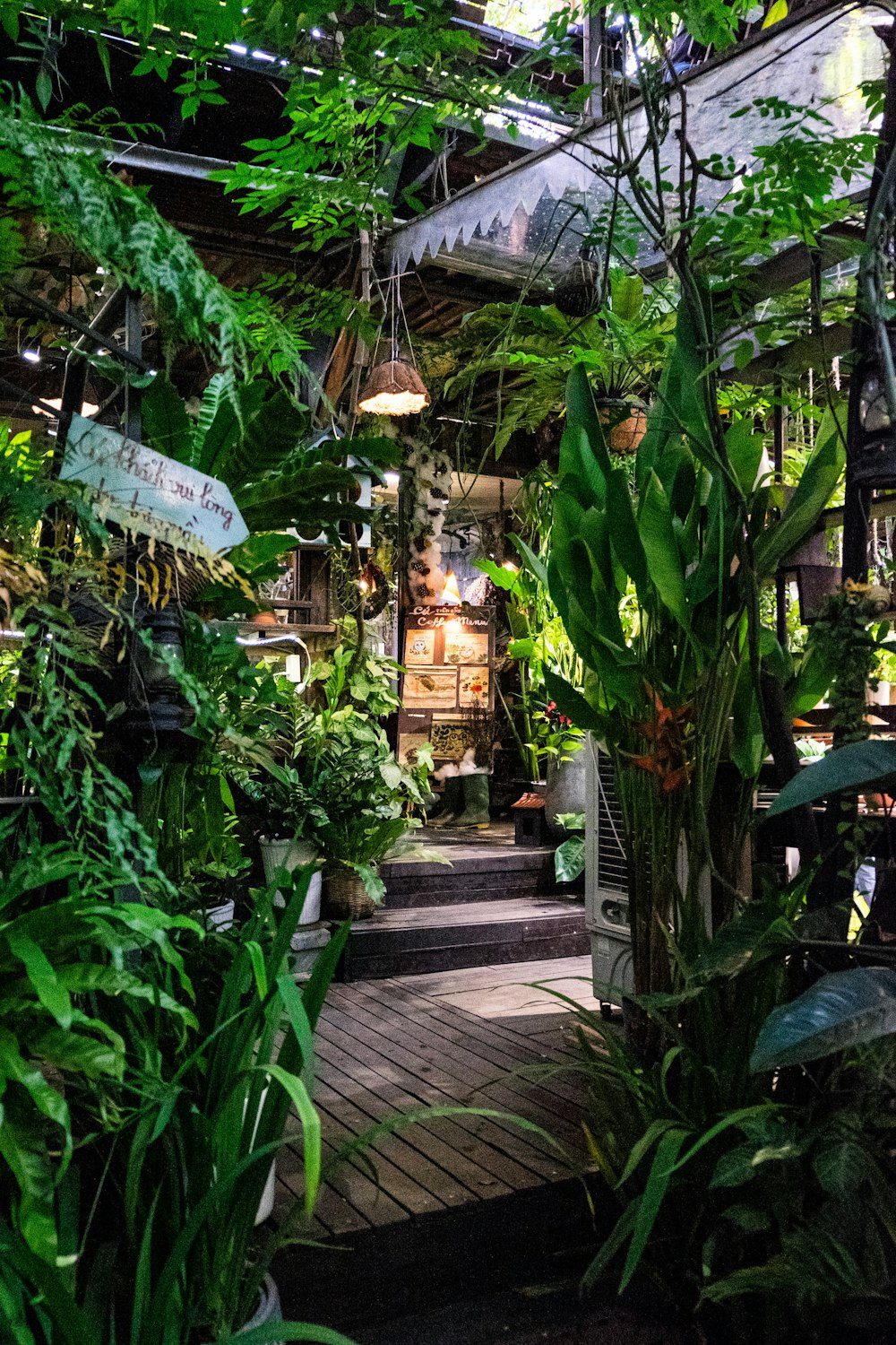 El interior de un invernadero lleno de muchas plantas