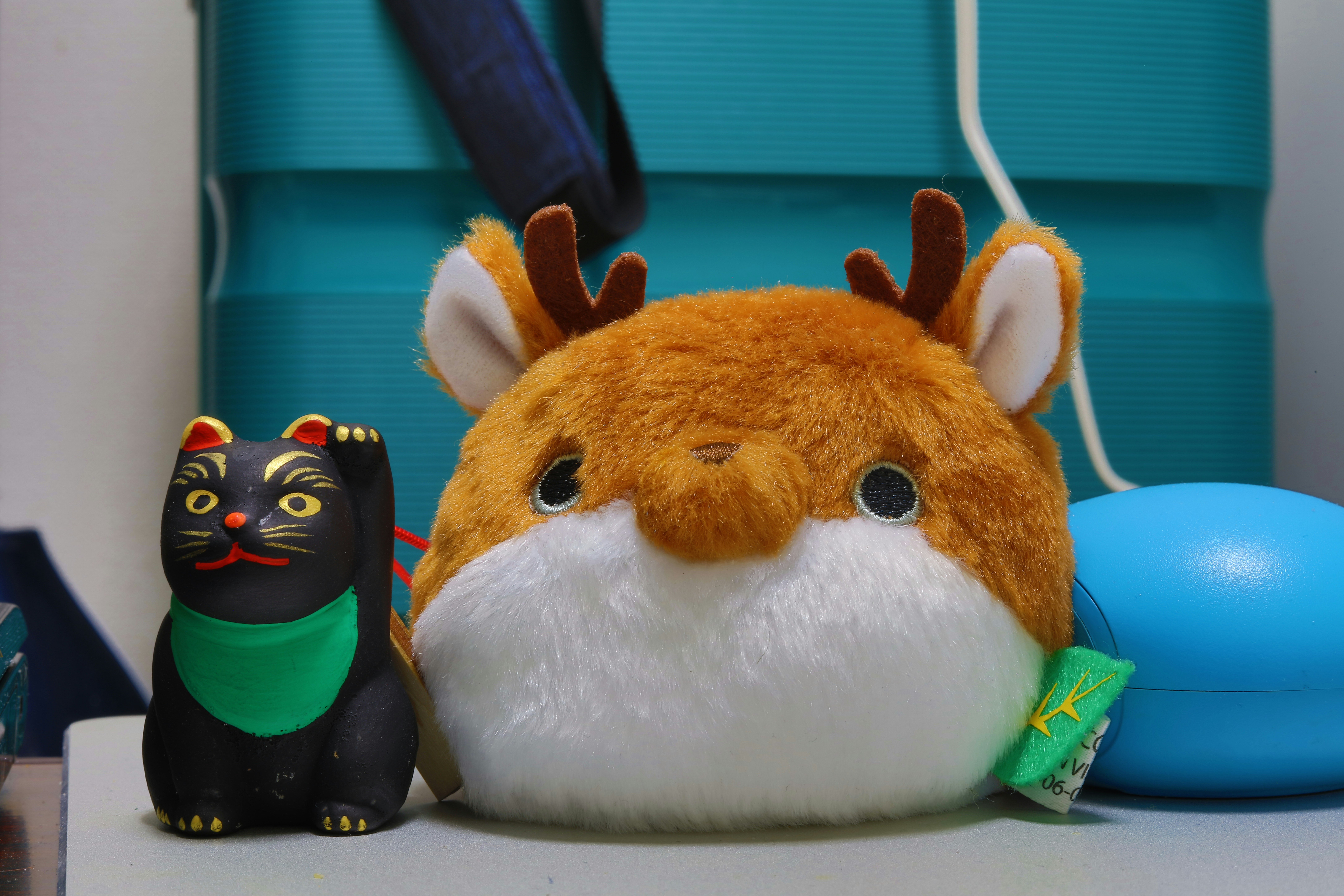 Photo by viendinh1995